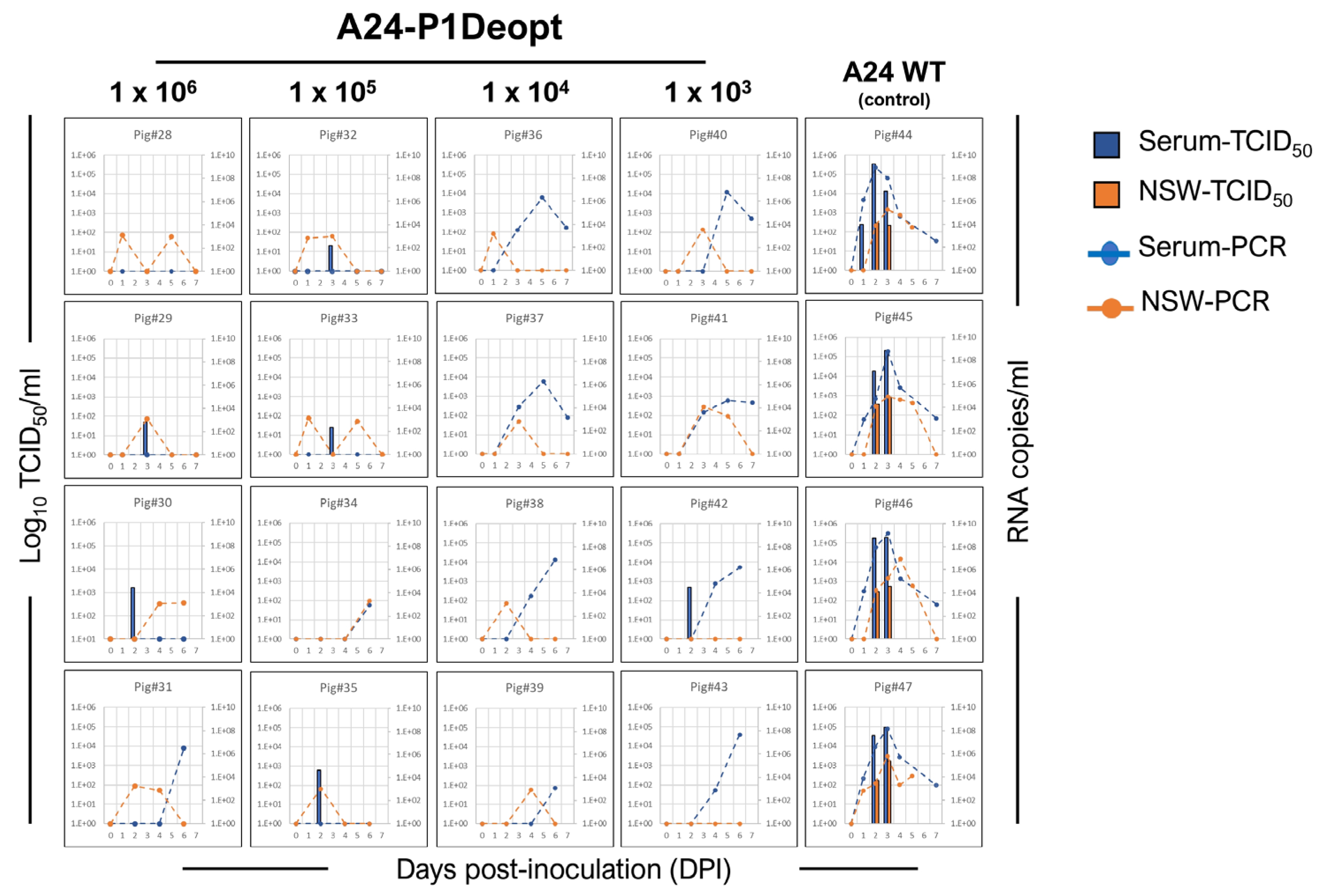 Viruses 15 01332 g004
