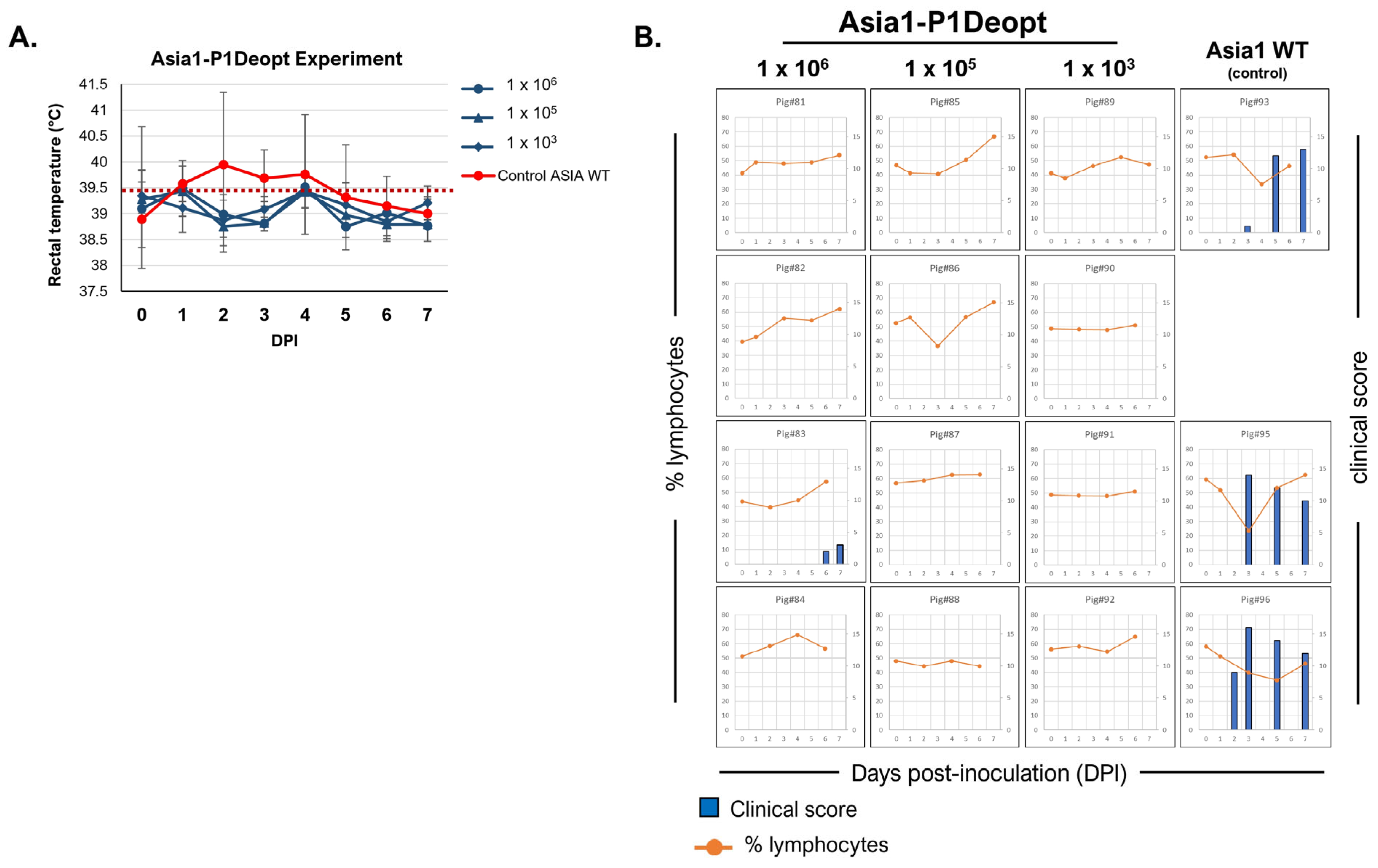Viruses 15 01332 g005