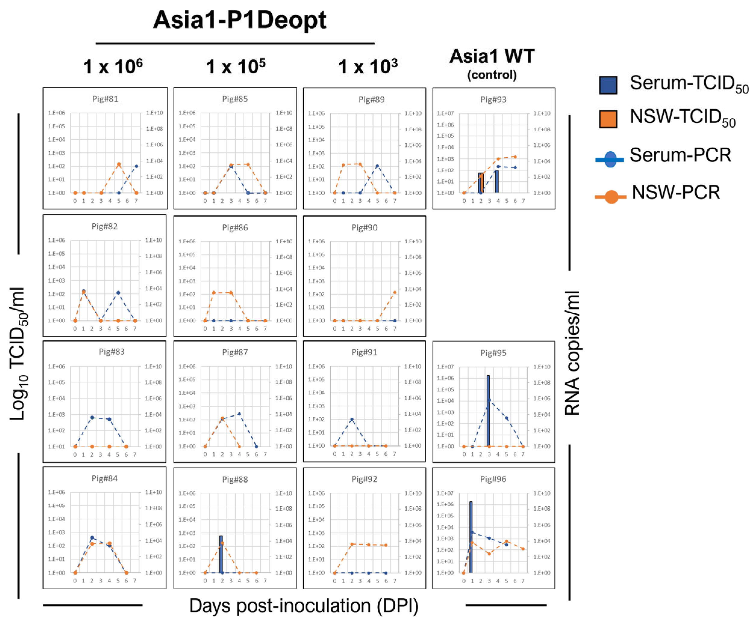 Viruses 15 01332 g006