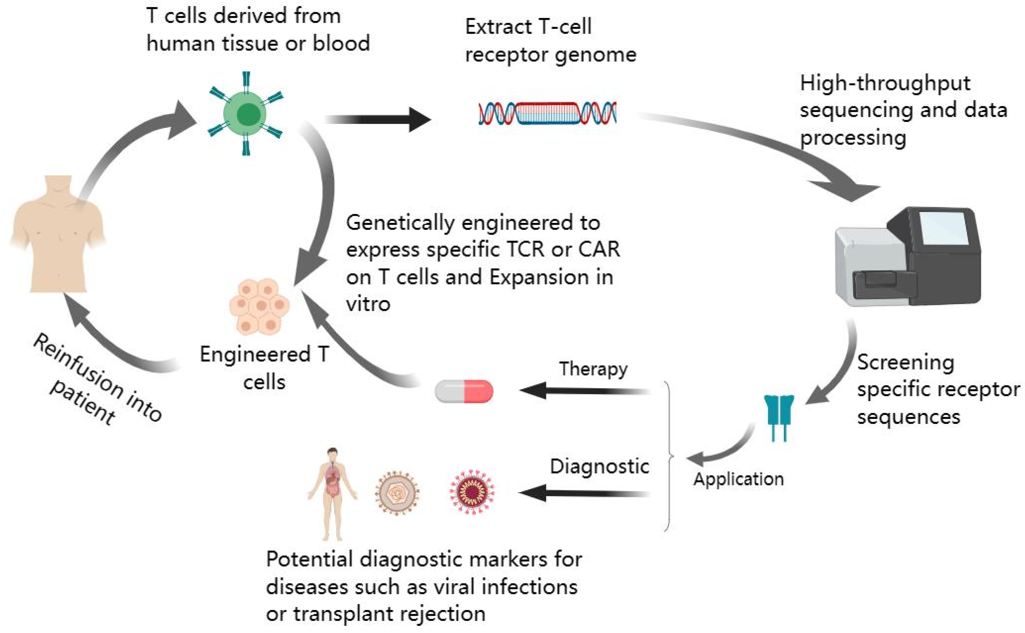 Viruses 15 01334 g002