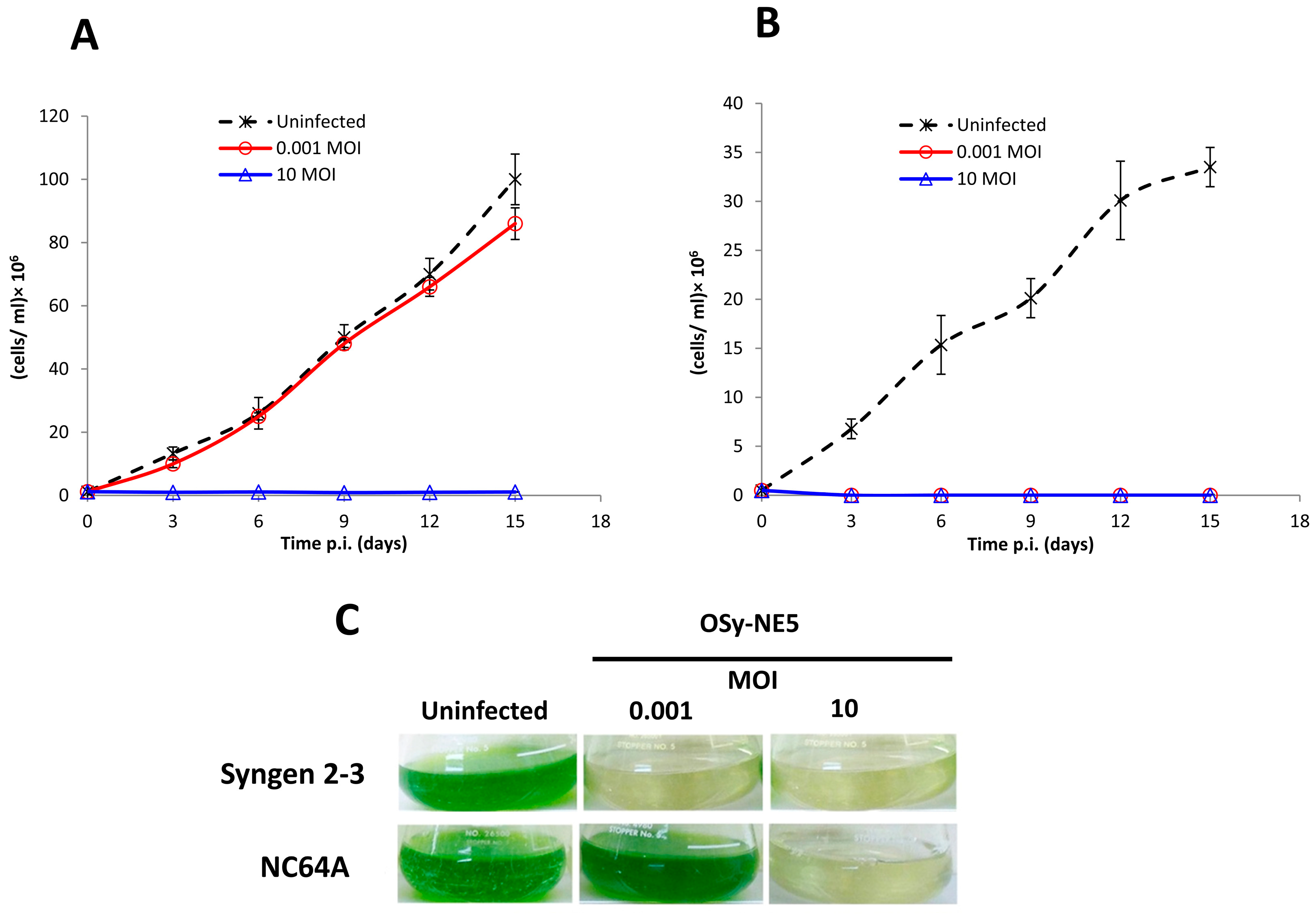 Viruses 15 01341 g001