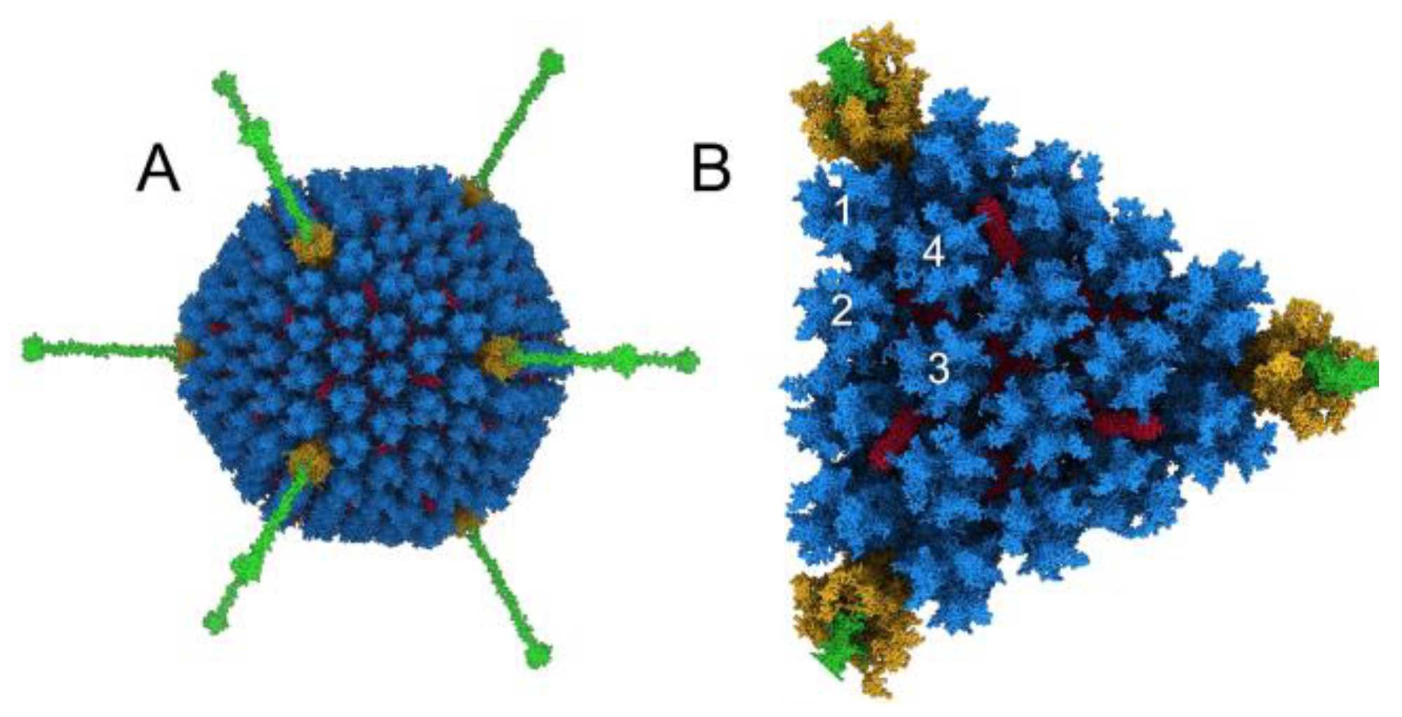 Viruses 15 01343 g001