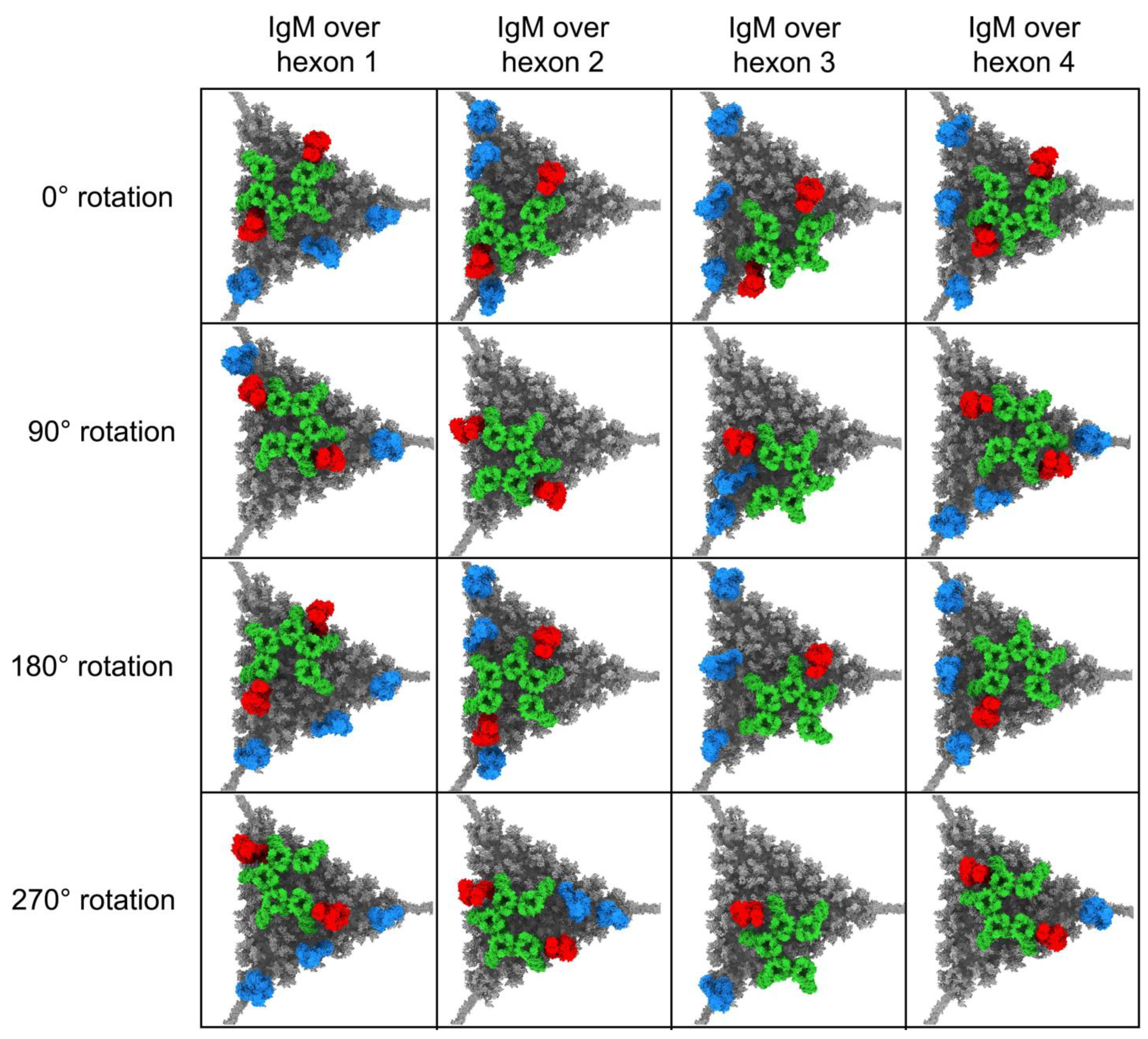 Viruses 15 01343 g005