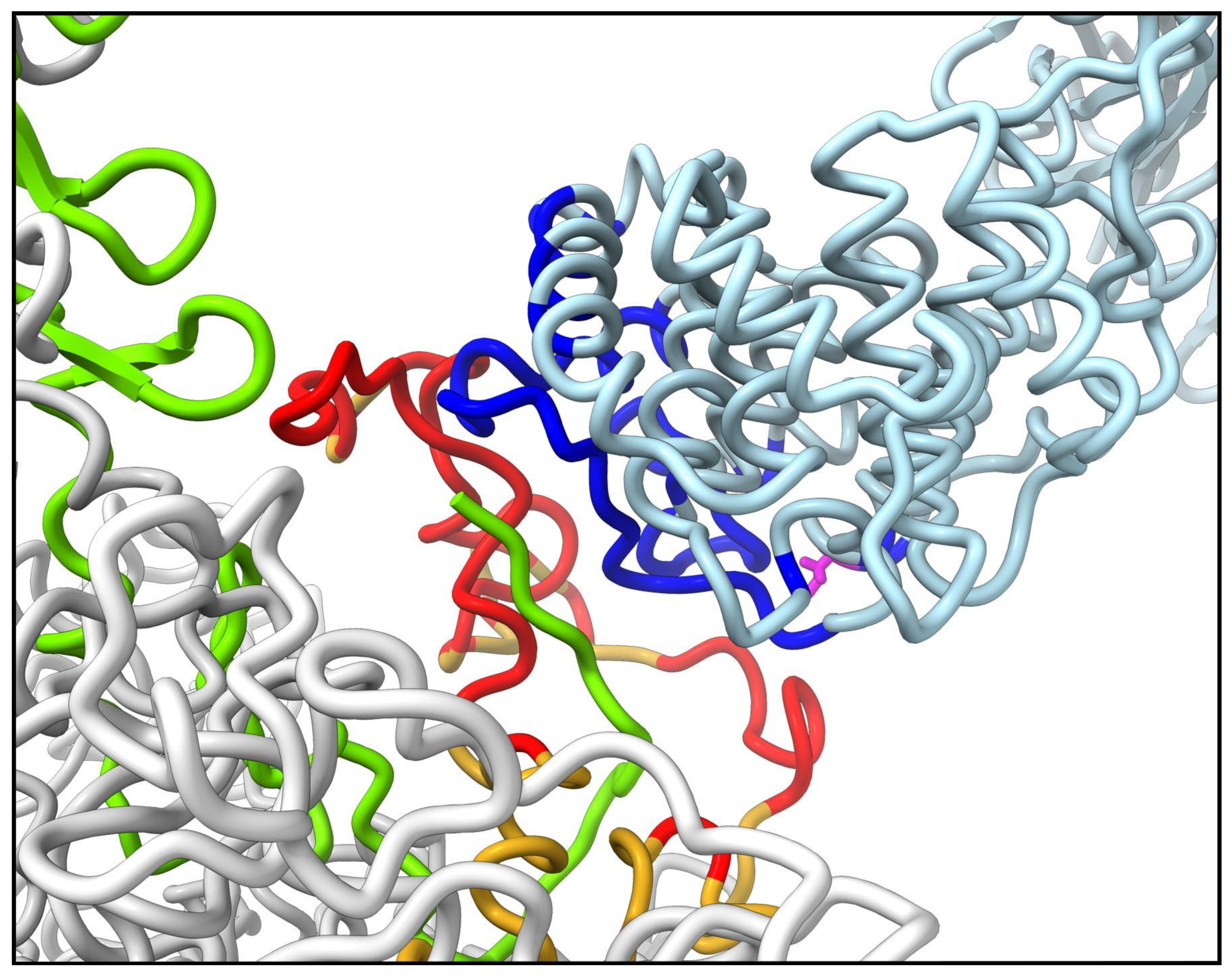 Viruses 15 01343 g007