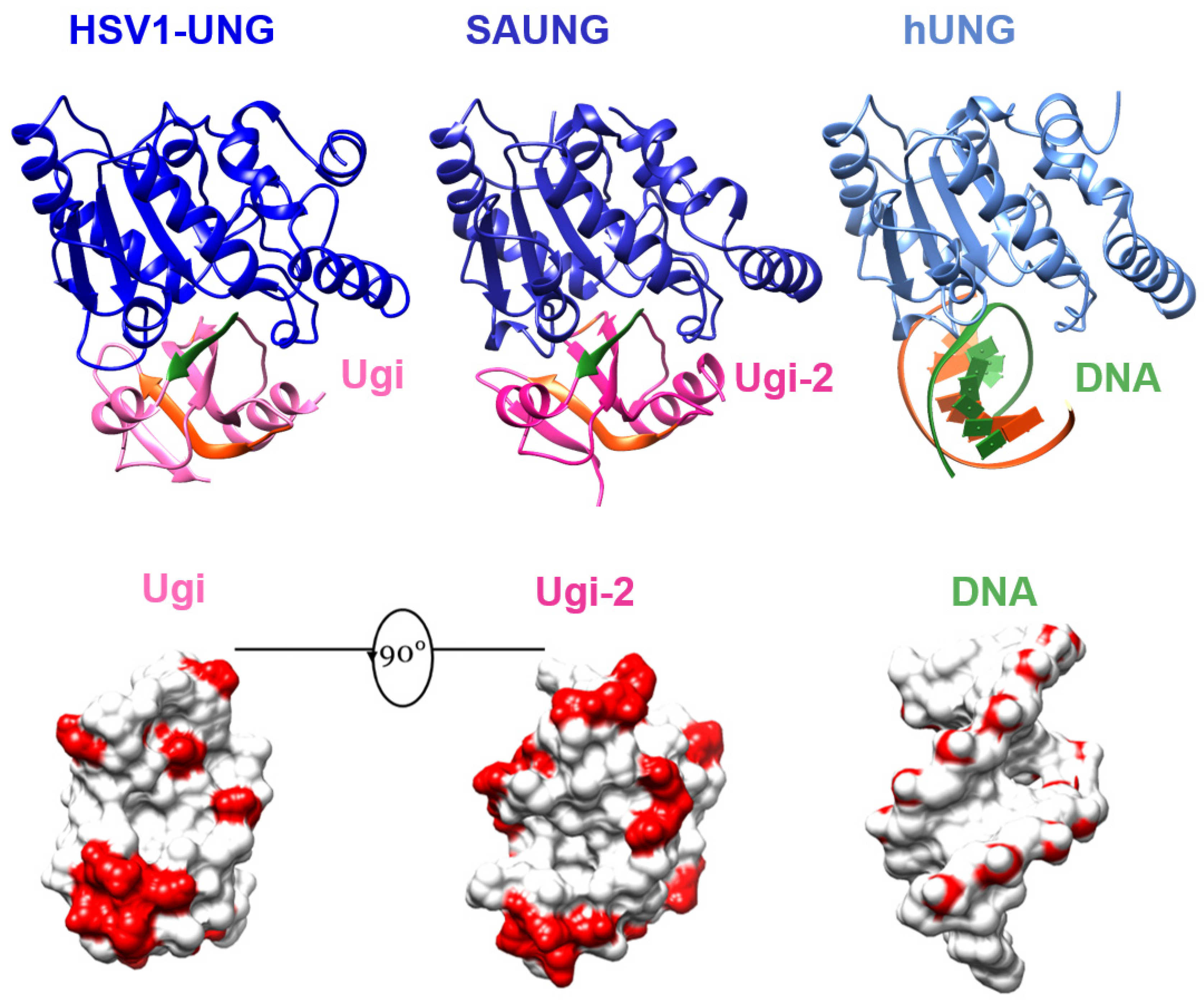Viruses 15 01348 g005 Viruses 15 01348 g005