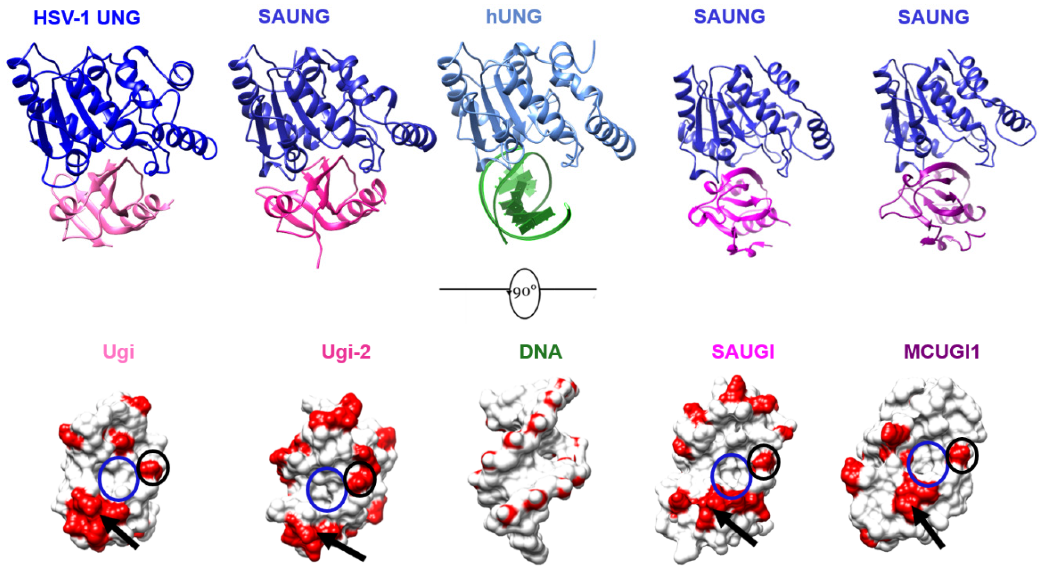 Viruses 15 01348 g006 Viruses 15 01348 g006