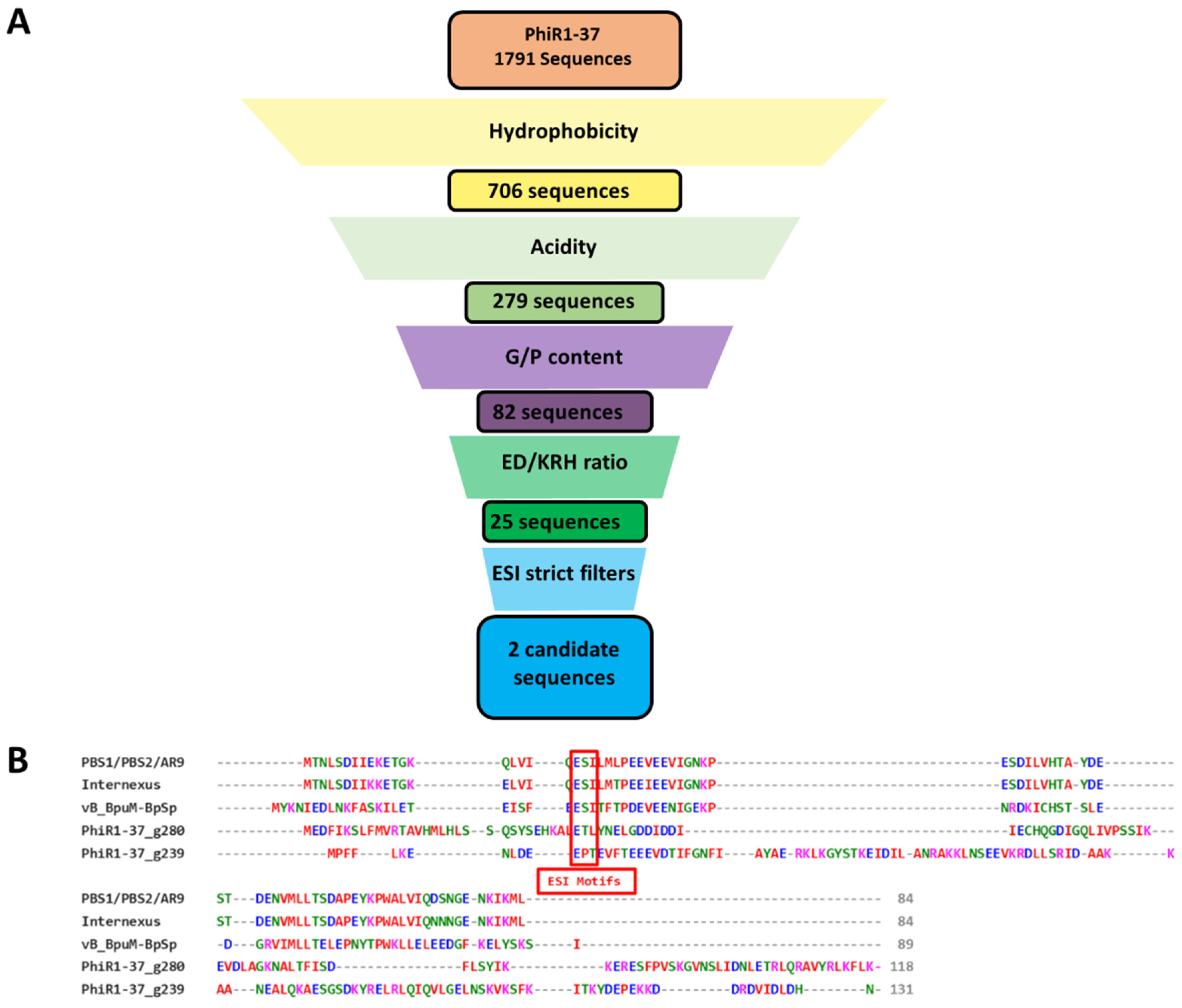 Viruses 15 01348 g007 Viruses 15 01348 g007