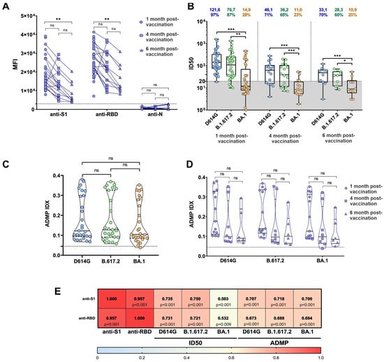 Viruses 15 01349 g001