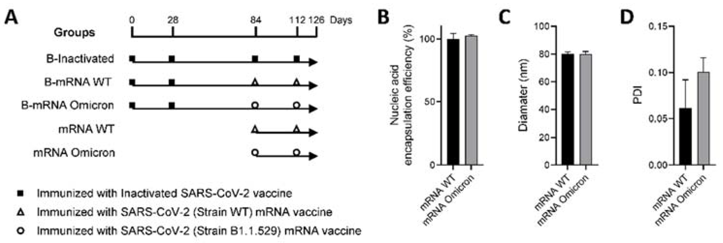 Viruses 15 01351 g001