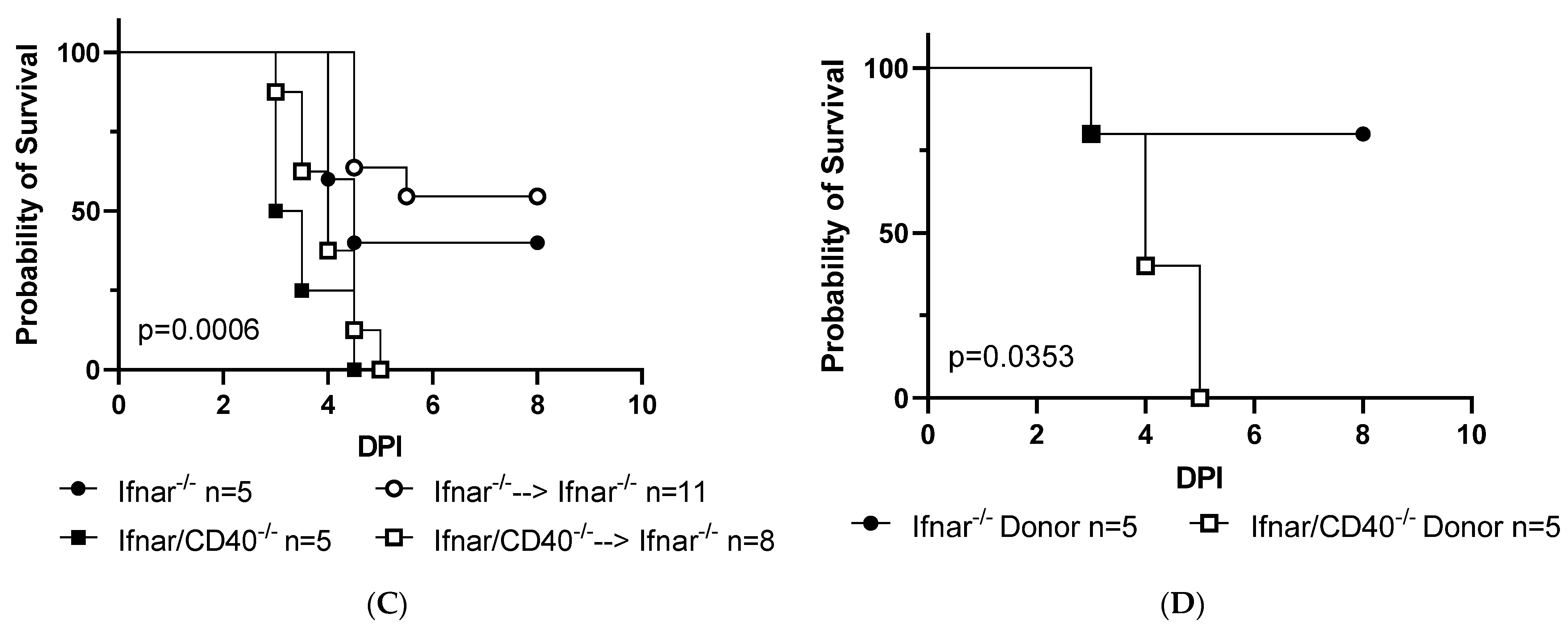 Viruses 15 01353 g002b Viruses 15 01353 g002b