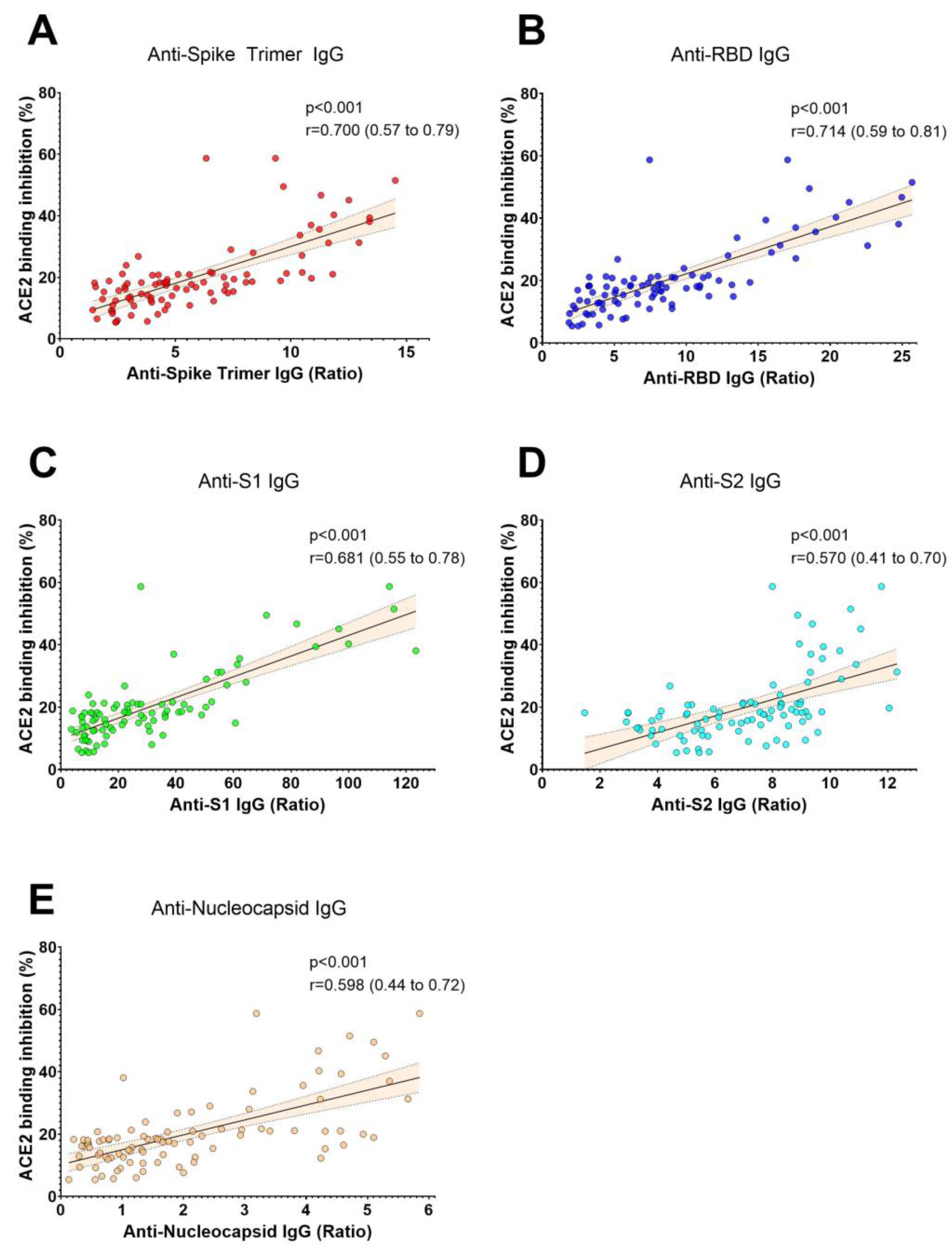 Viruses 15 01357 g001