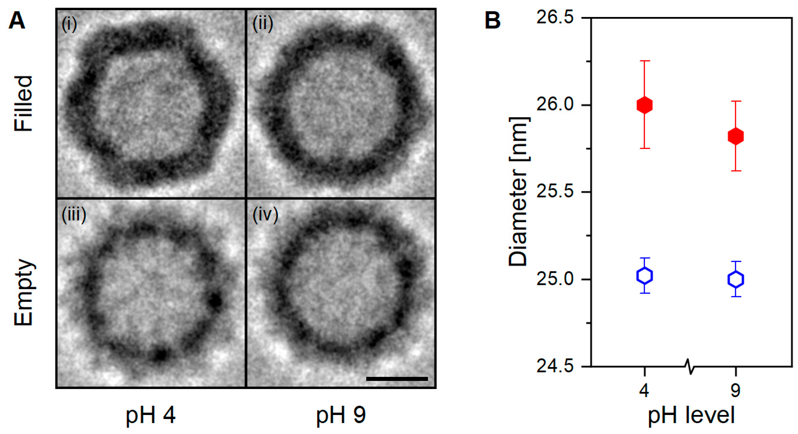 Viruses 15 01361 g003