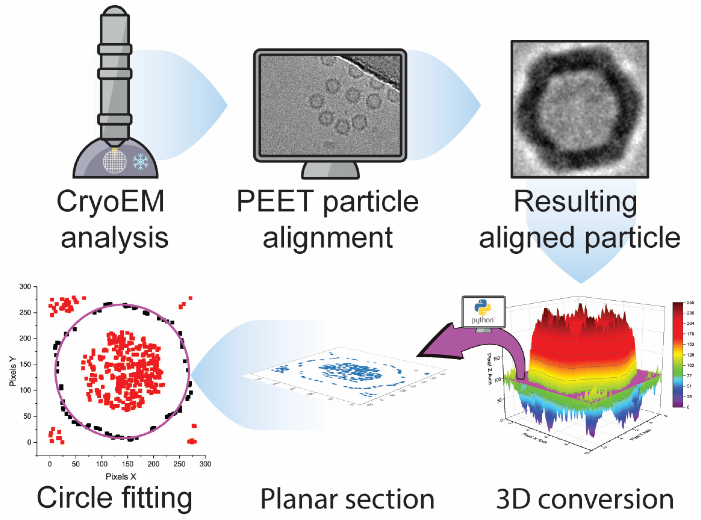 Viruses 15 01361 g004