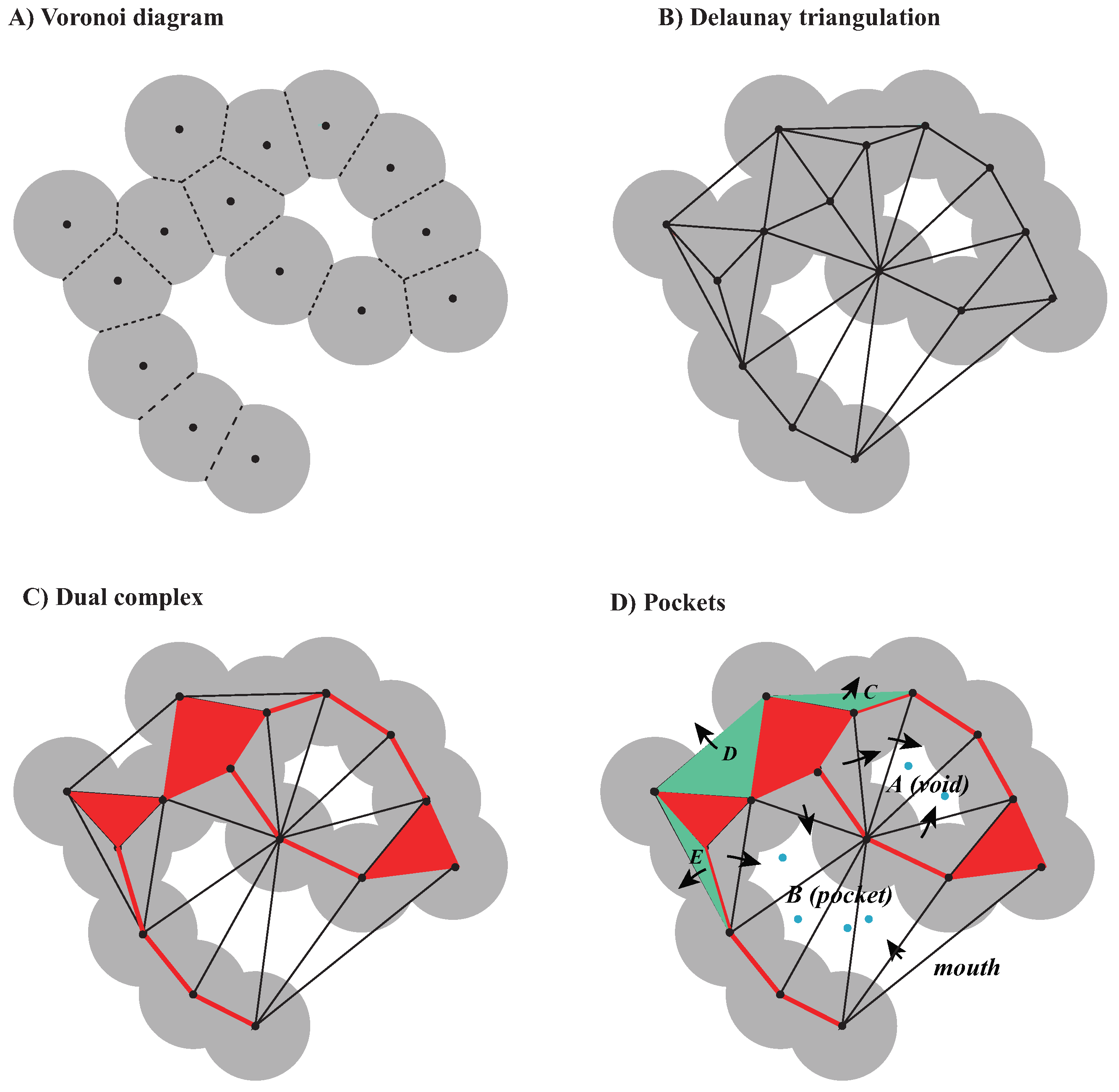 Viruses 15 01366 g001