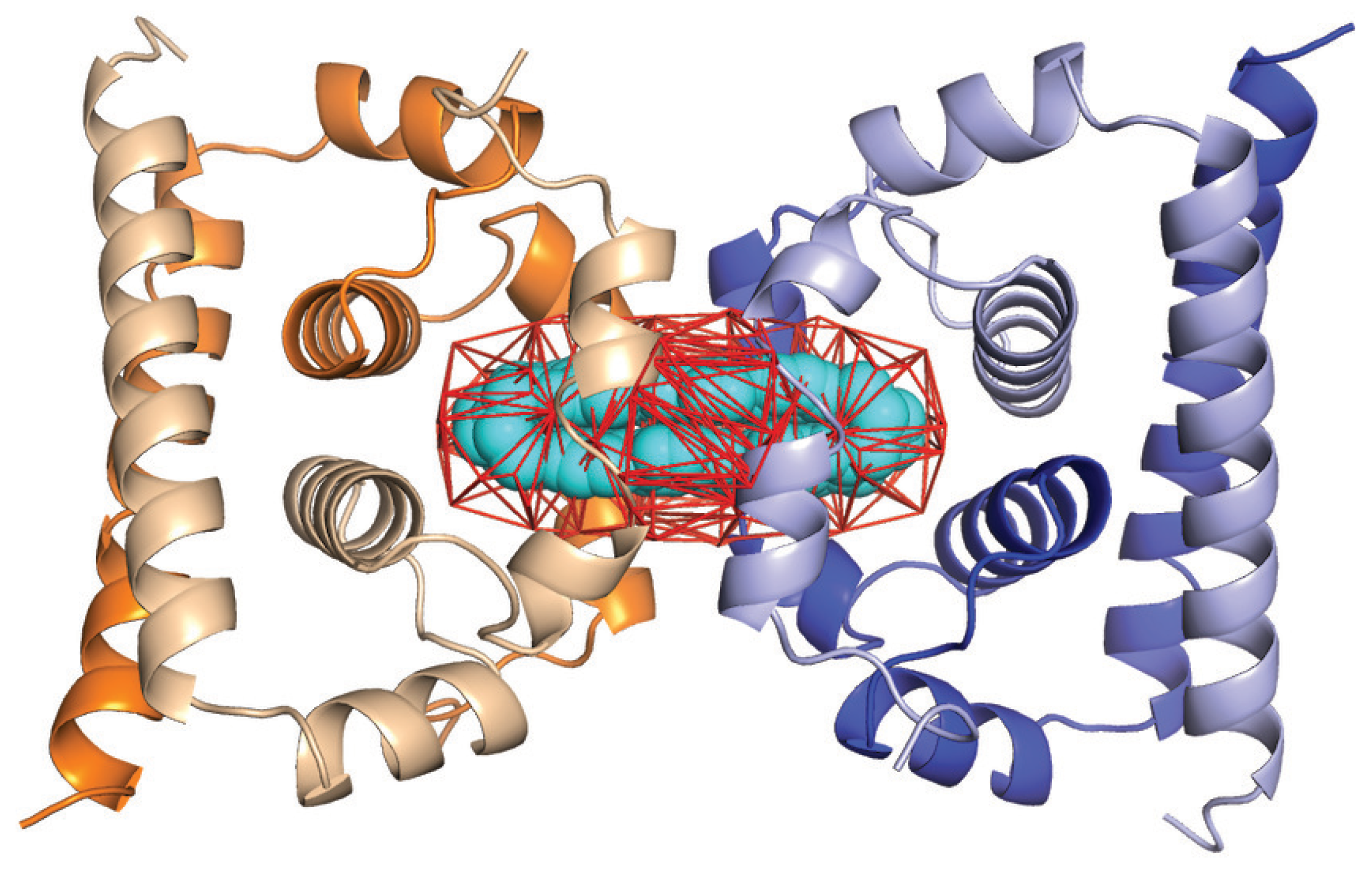 Viruses 15 01366 g004