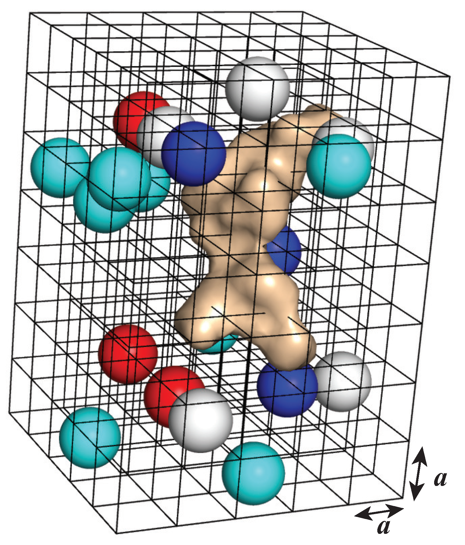 Viruses 15 01366 g010