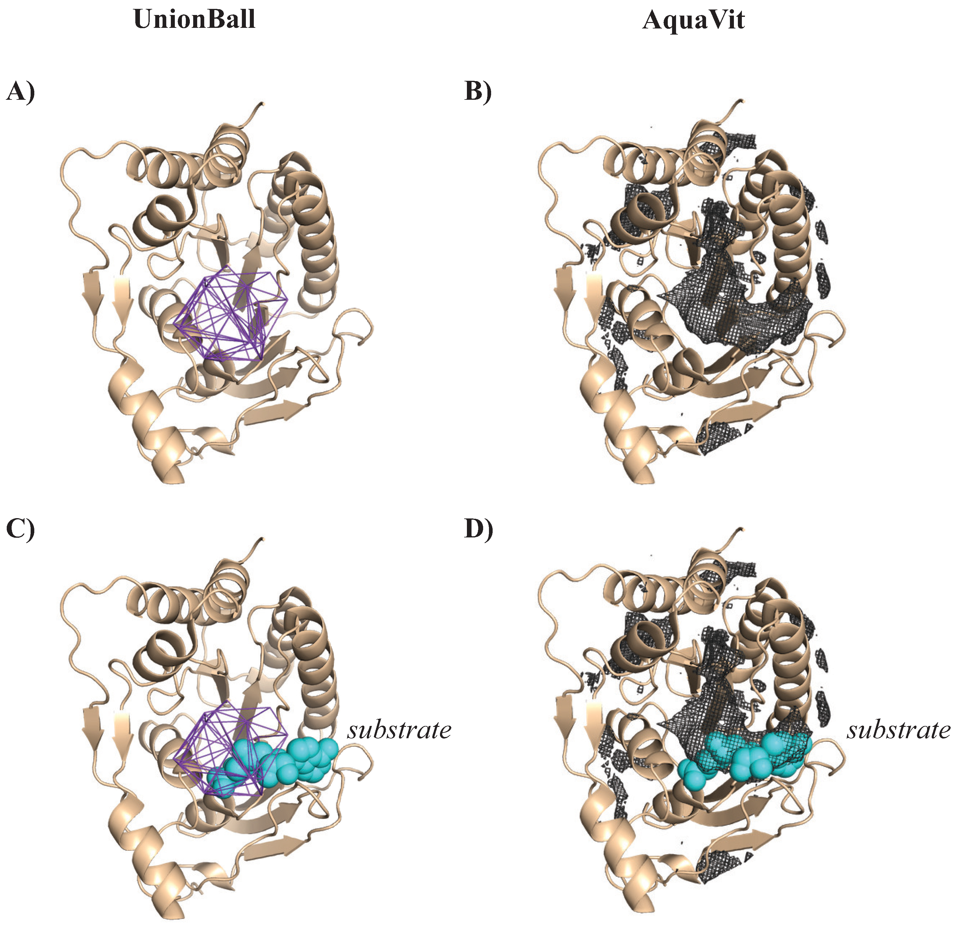 Viruses 15 01366 g011