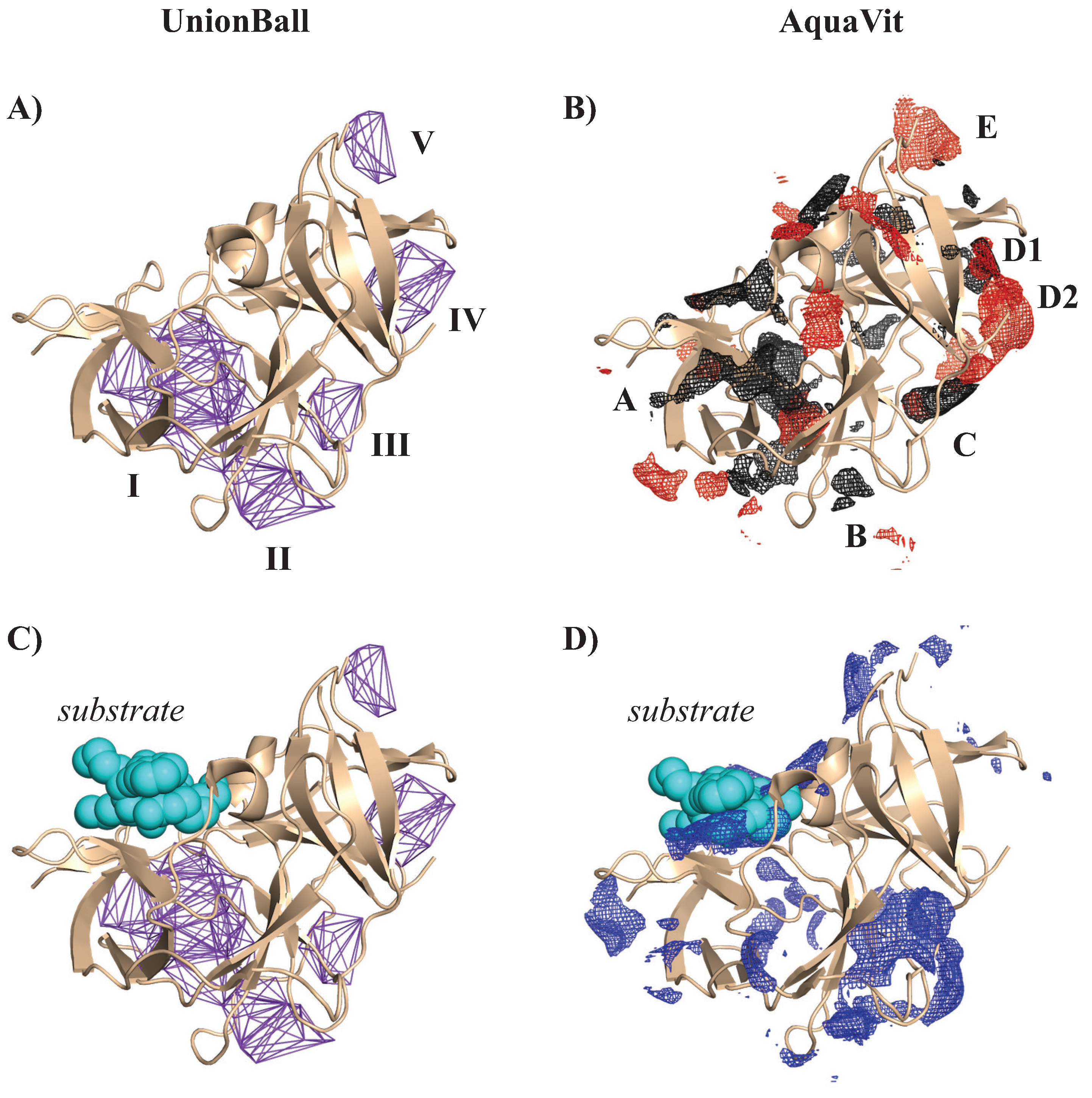 Viruses 15 01366 g012