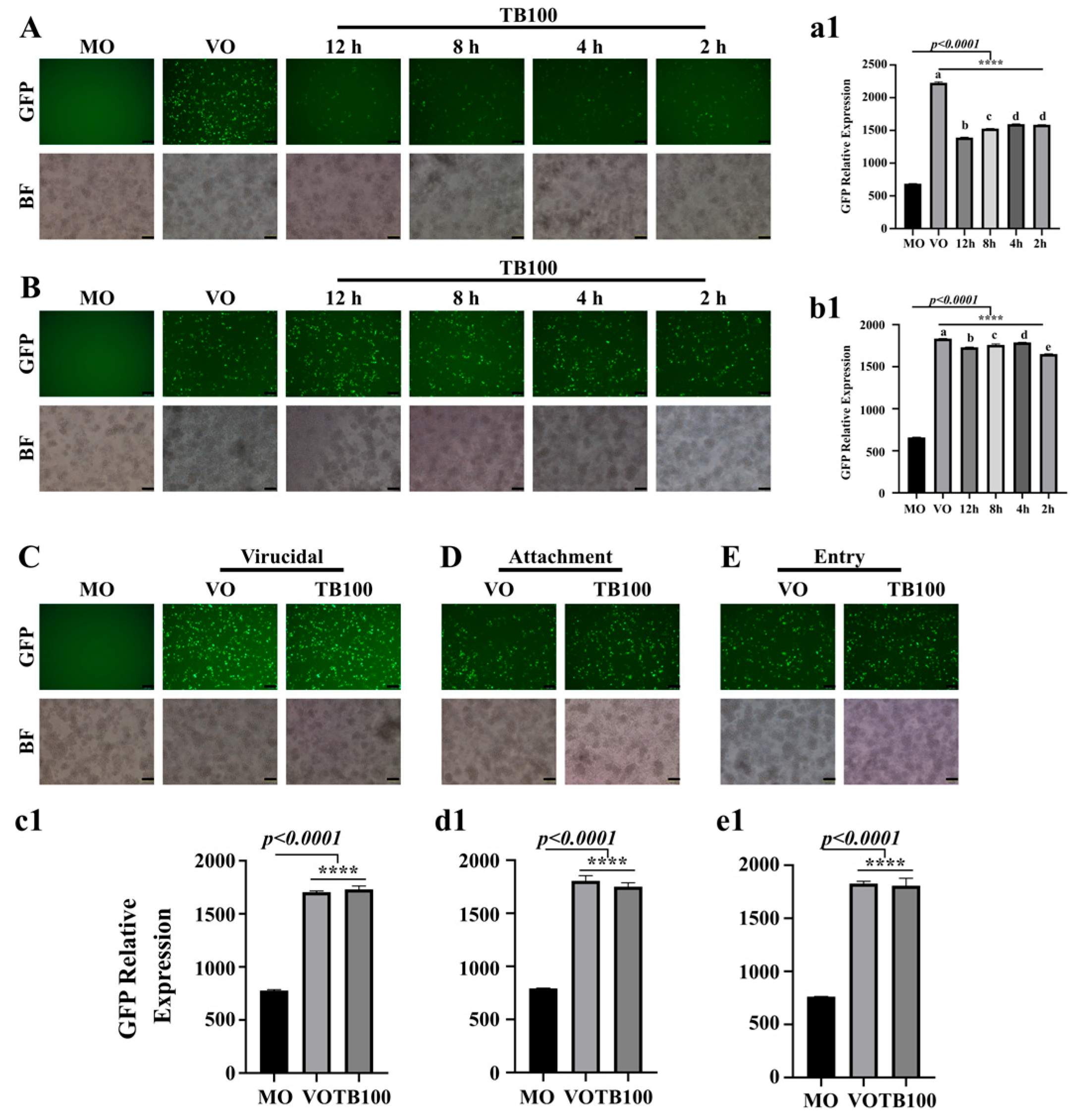 Viruses 15 01375 g001