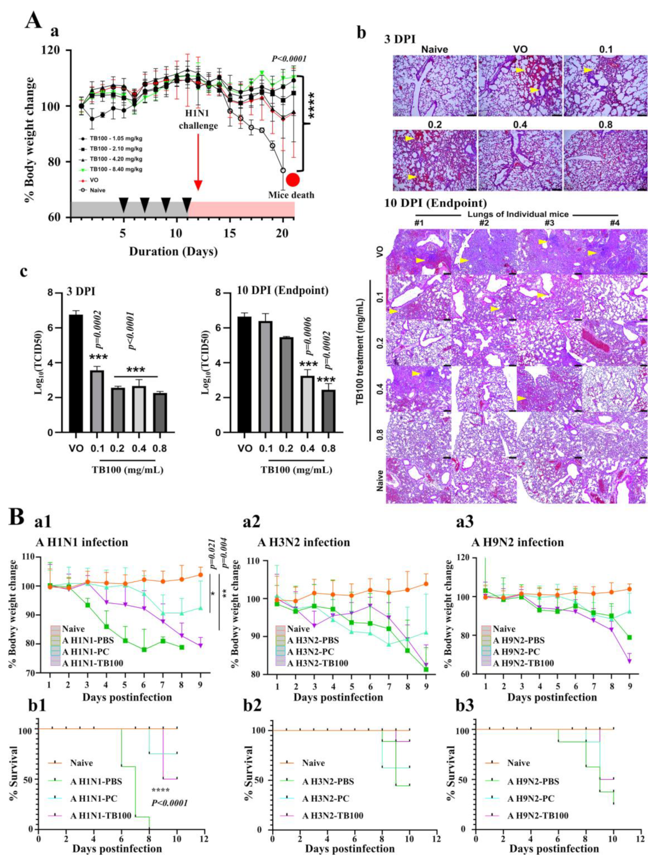 Viruses 15 01375 g004