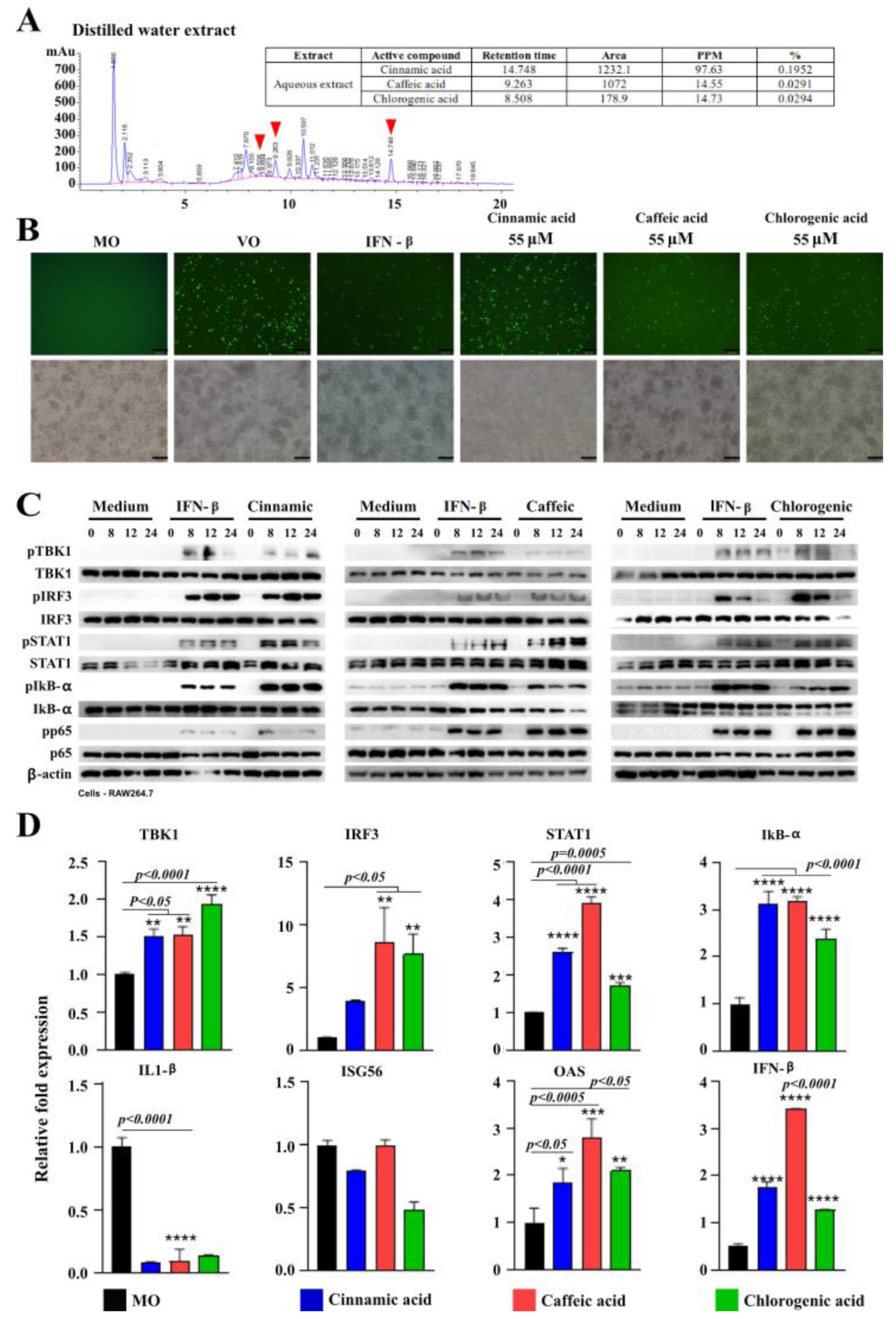 Viruses 15 01375 g005