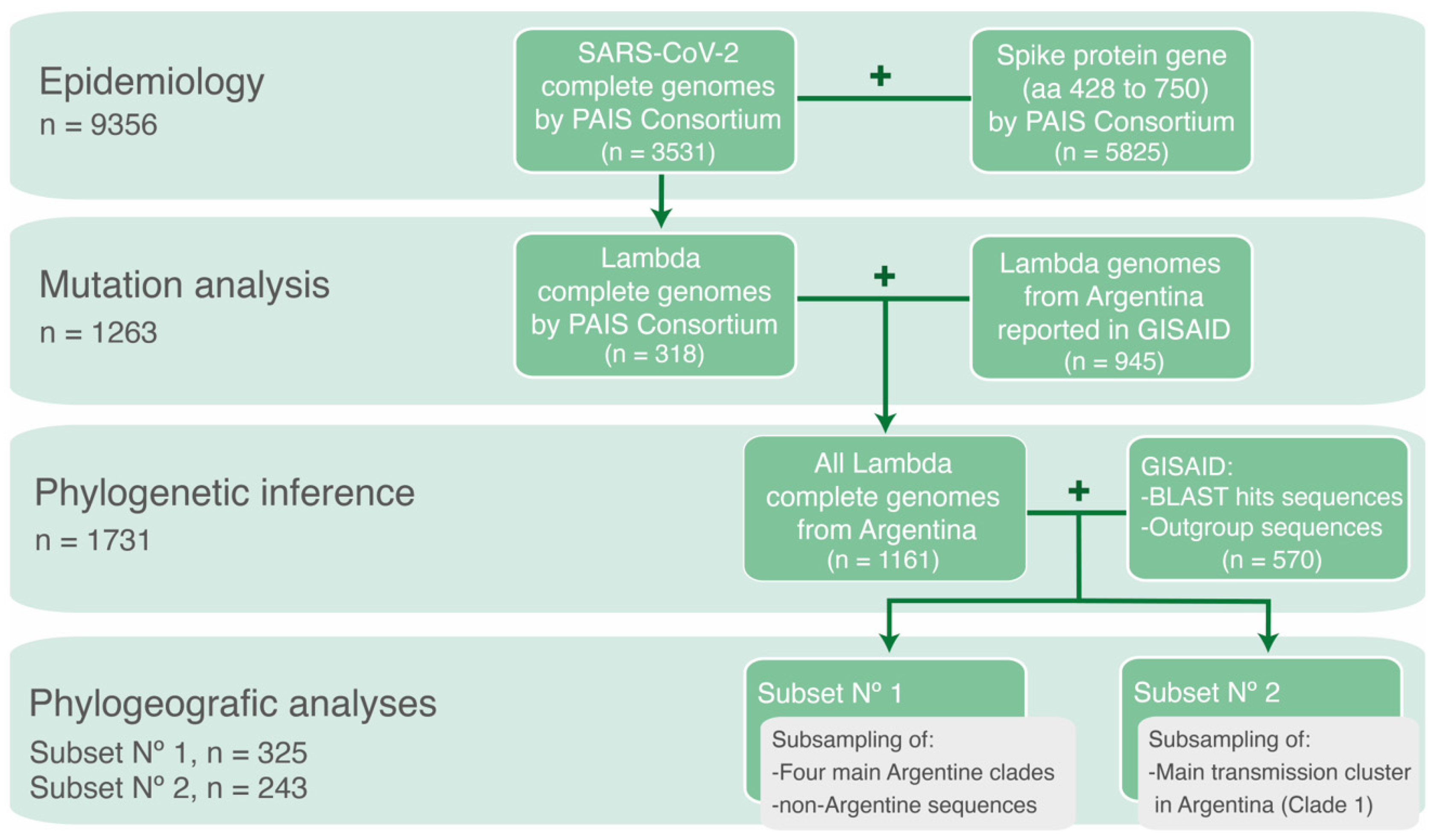 Viruses 15 01382 g001 Viruses 15 01382 g001