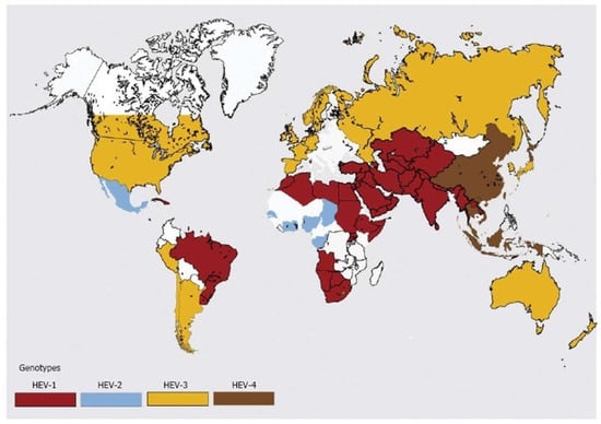 Viruses 15 01389 g002