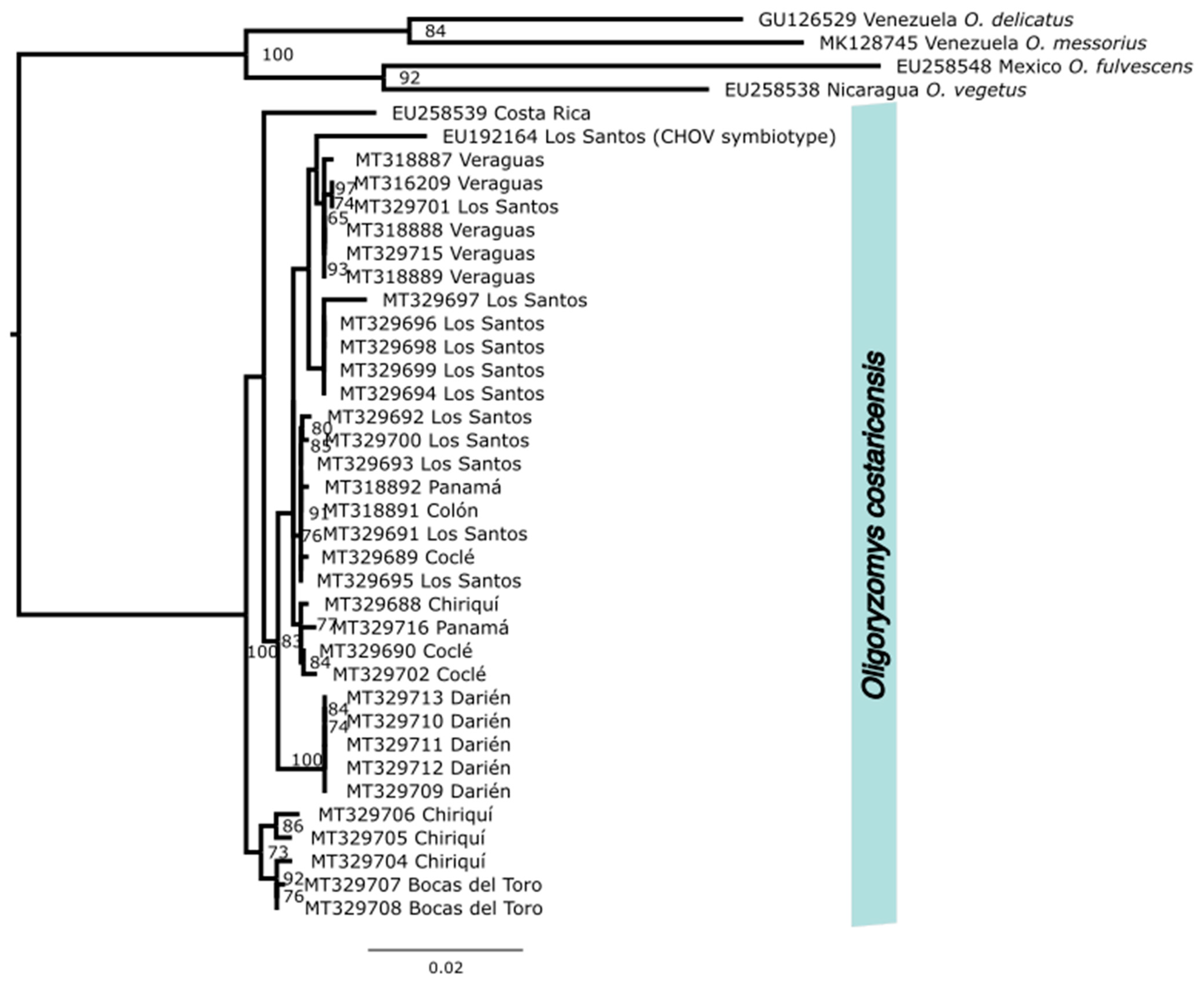 Viruses 15 01390 g002