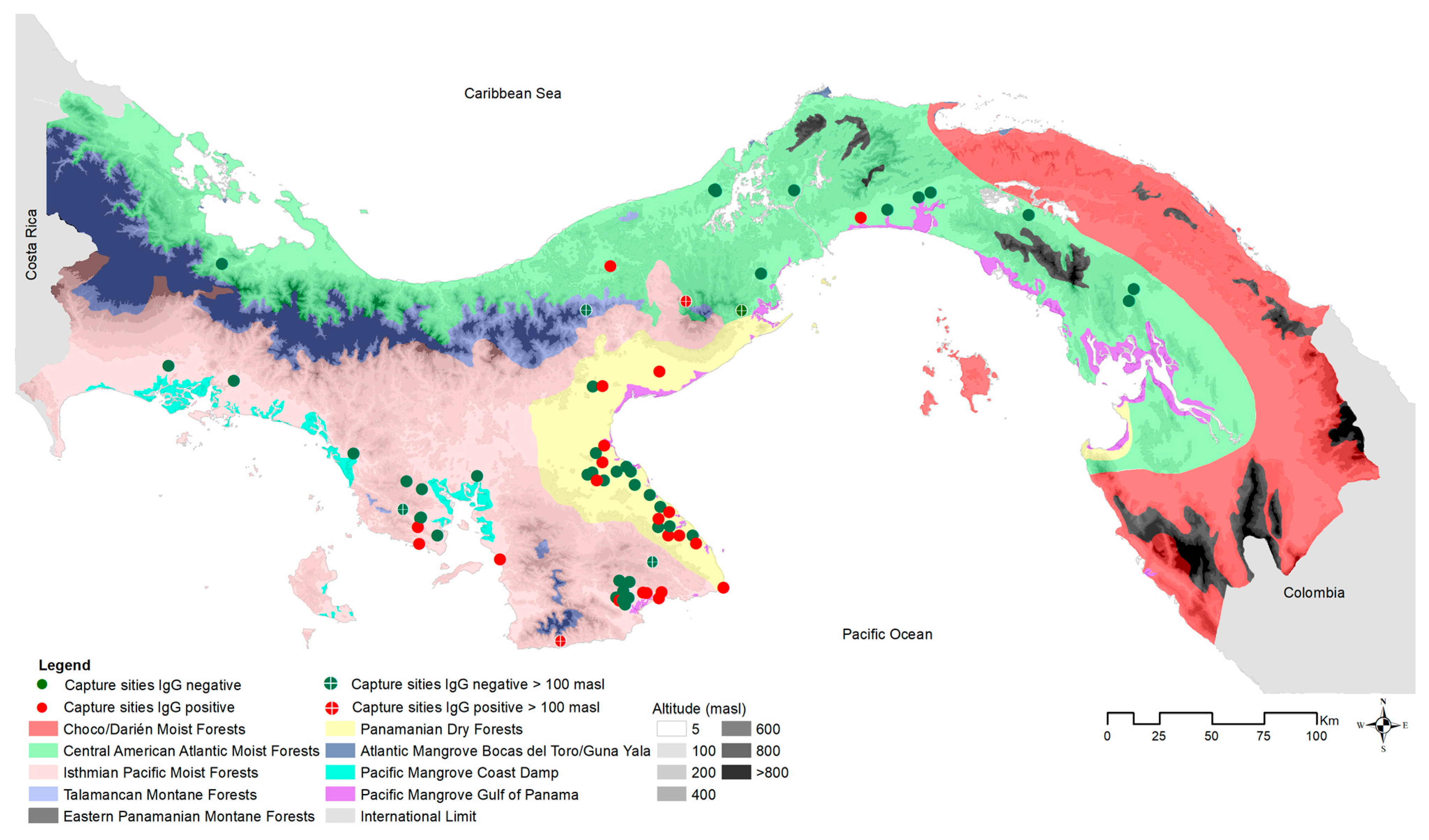 Viruses 15 01390 g004