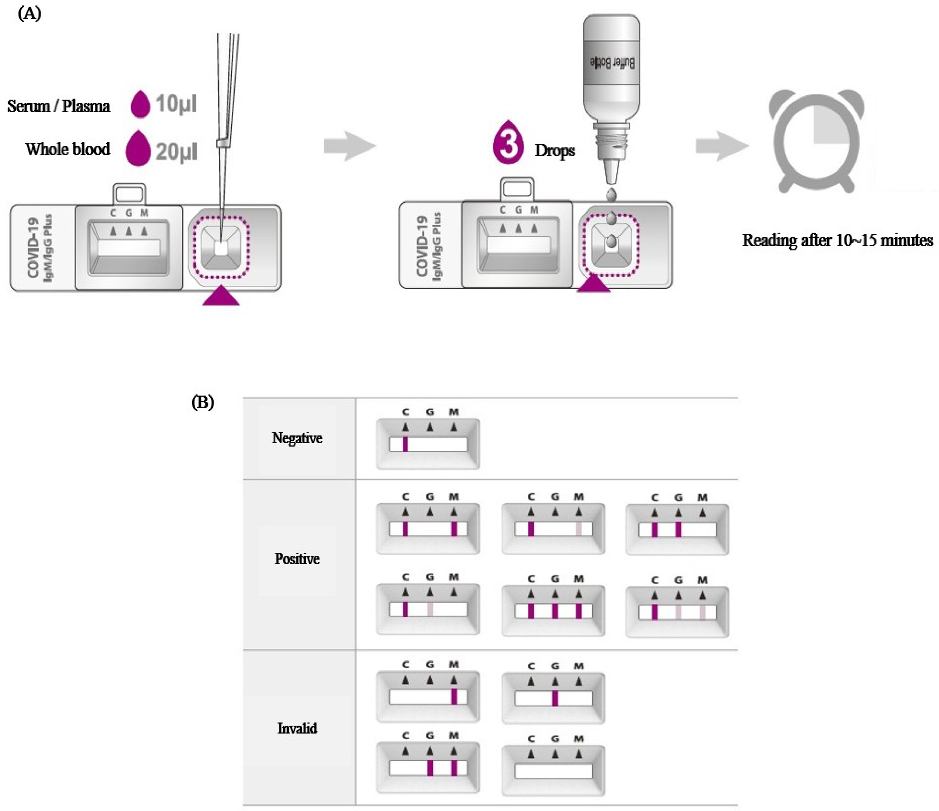 Viruses 15 01400 g002