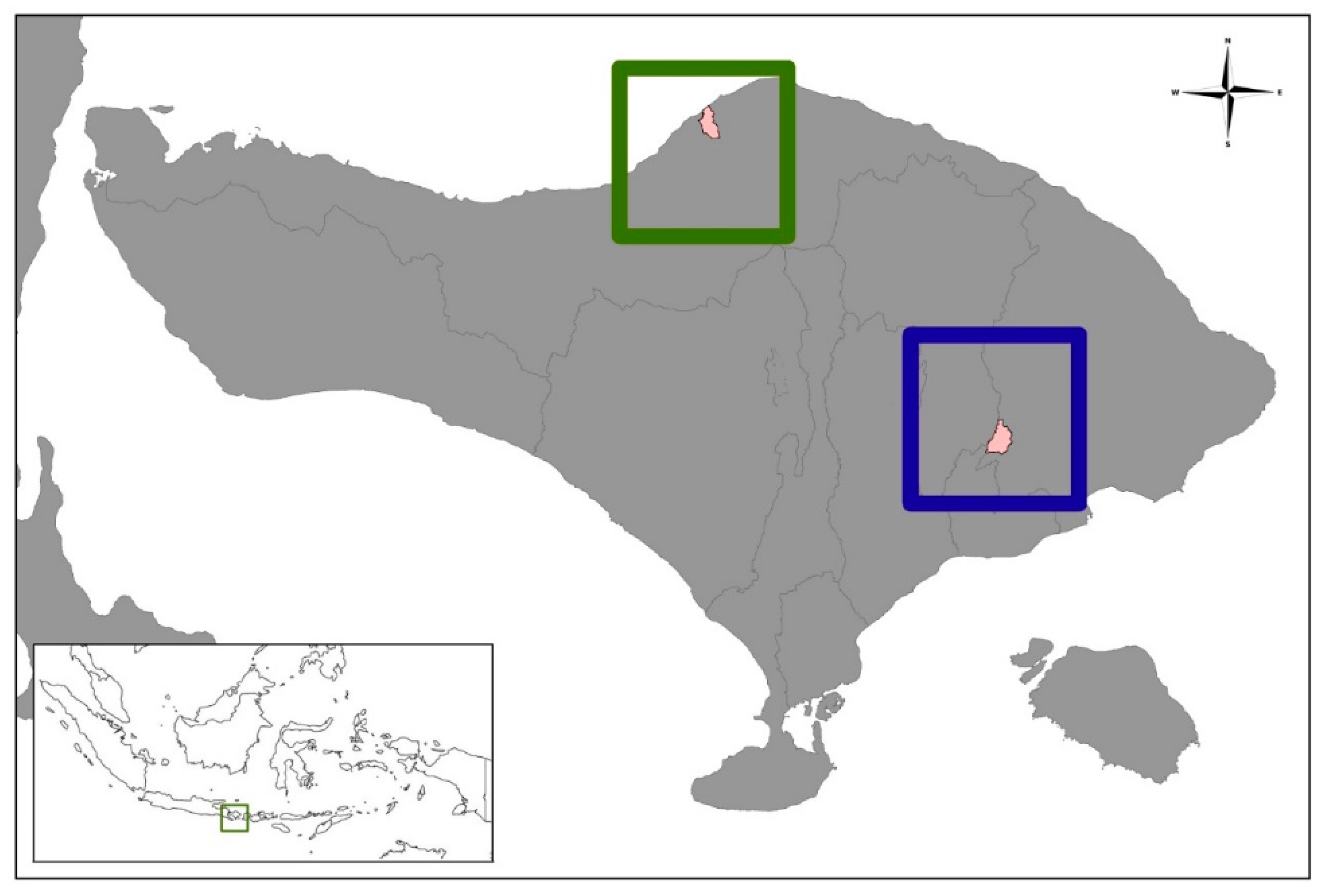 Viruses 15 01405 g001