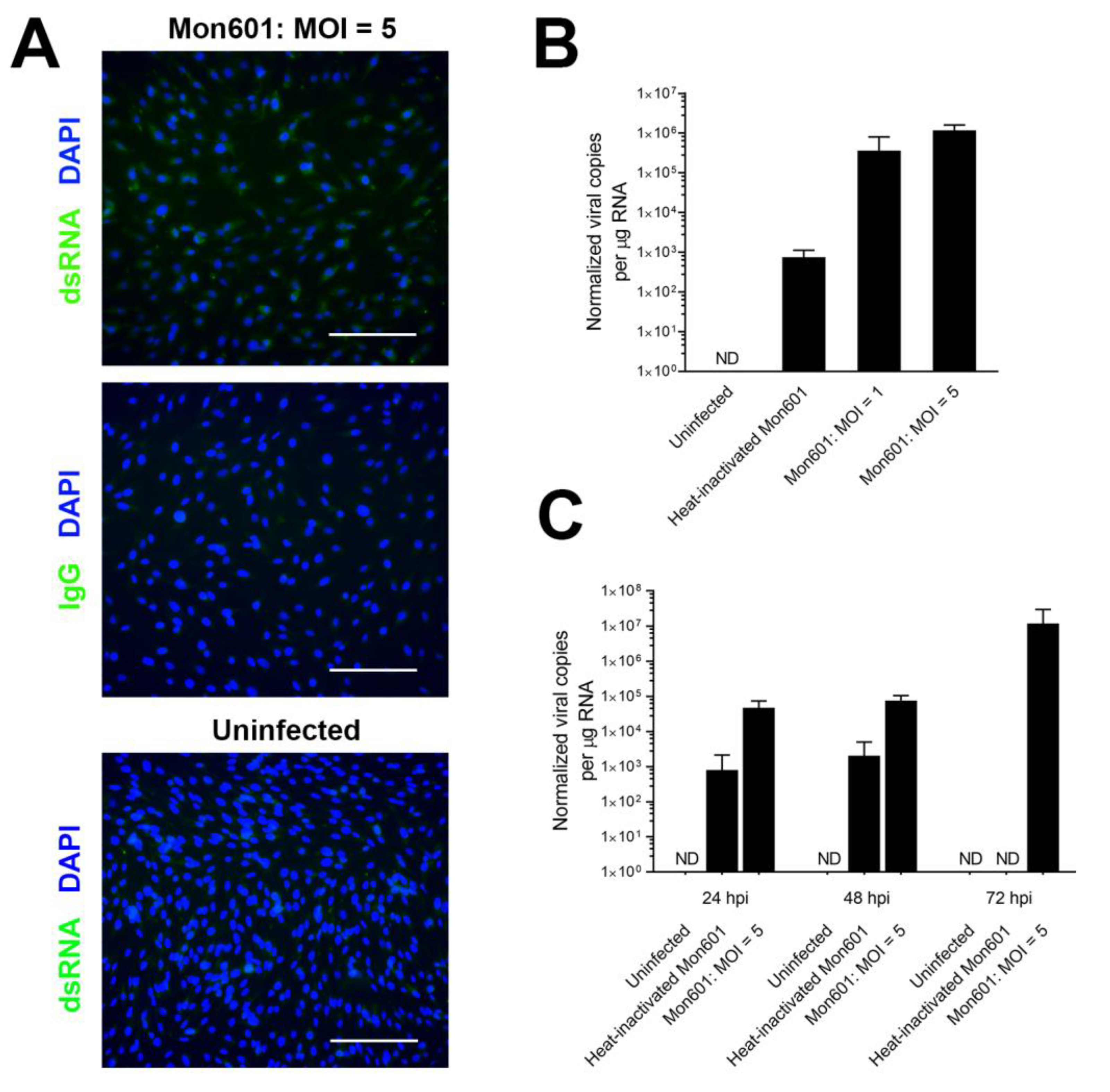 Viruses 15 01410 g001