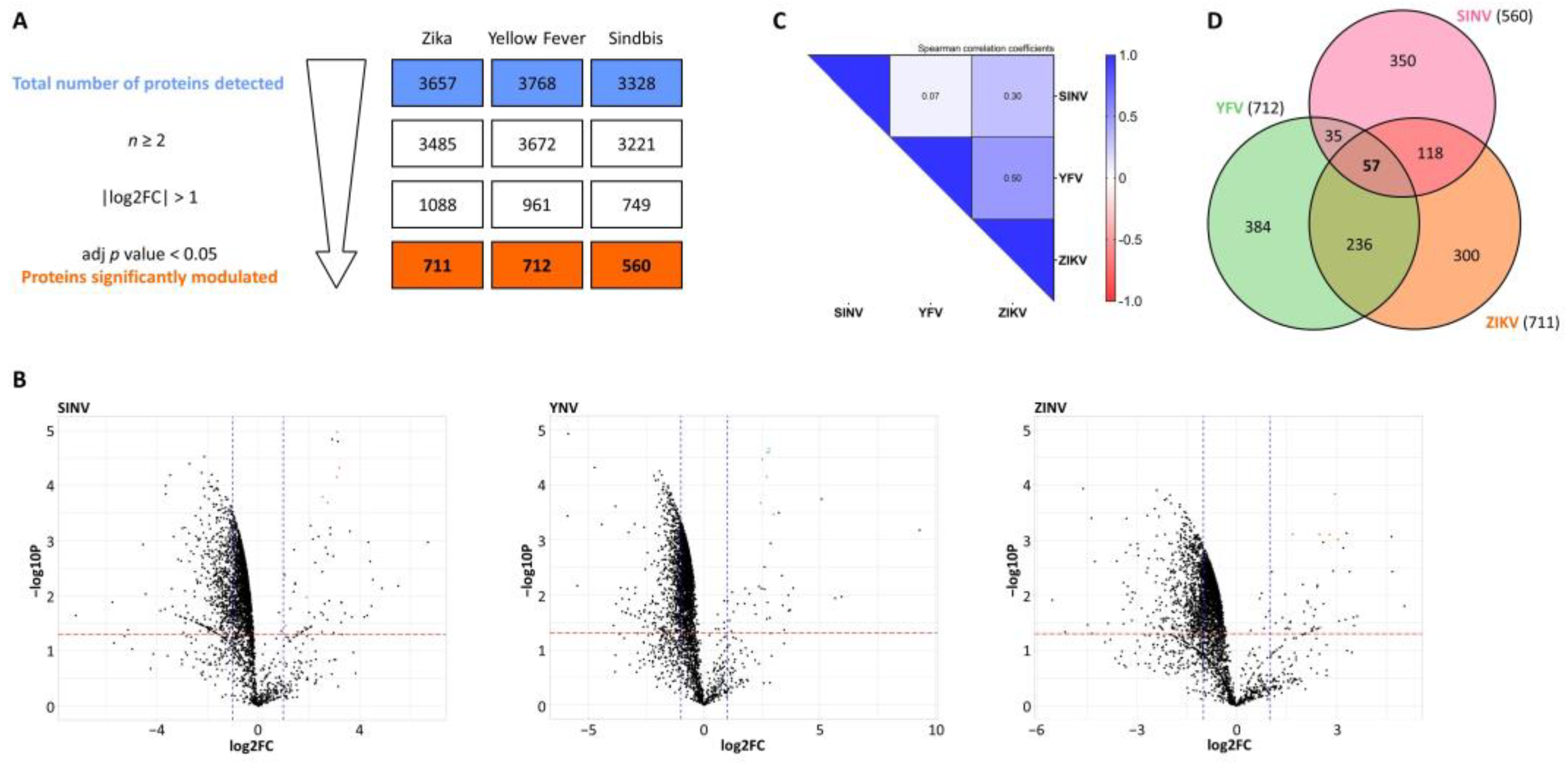 Viruses 15 01419 g006