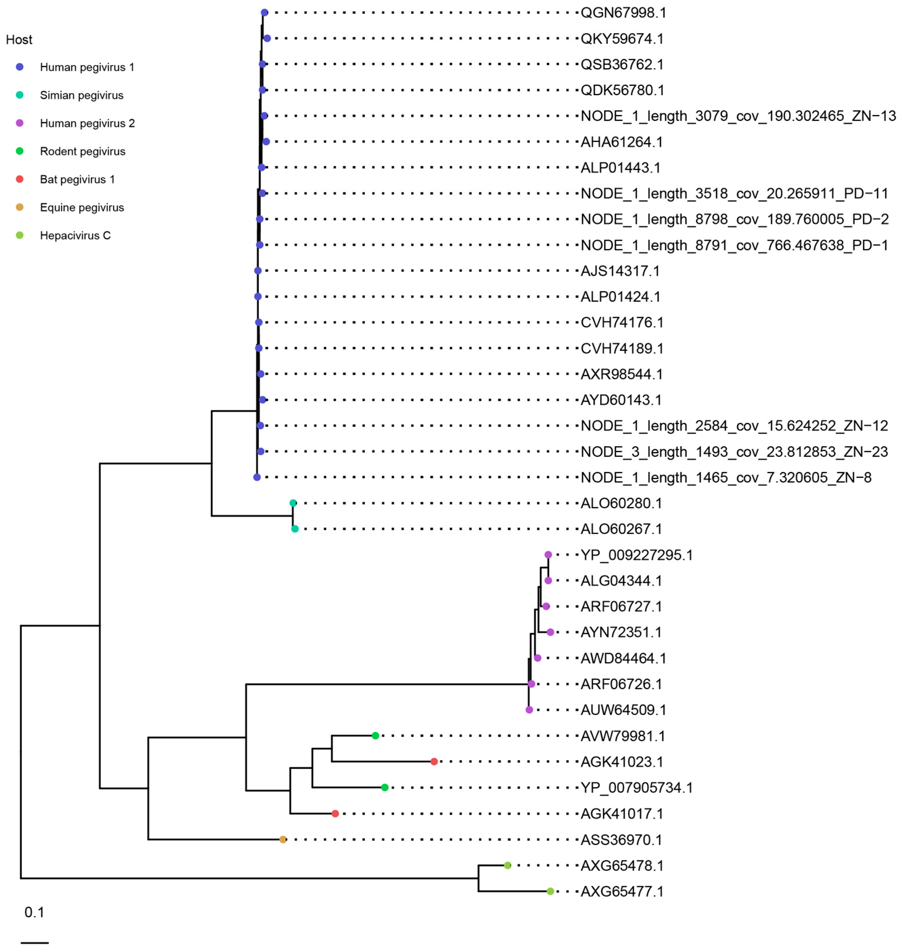 Viruses 15 01425 g007
