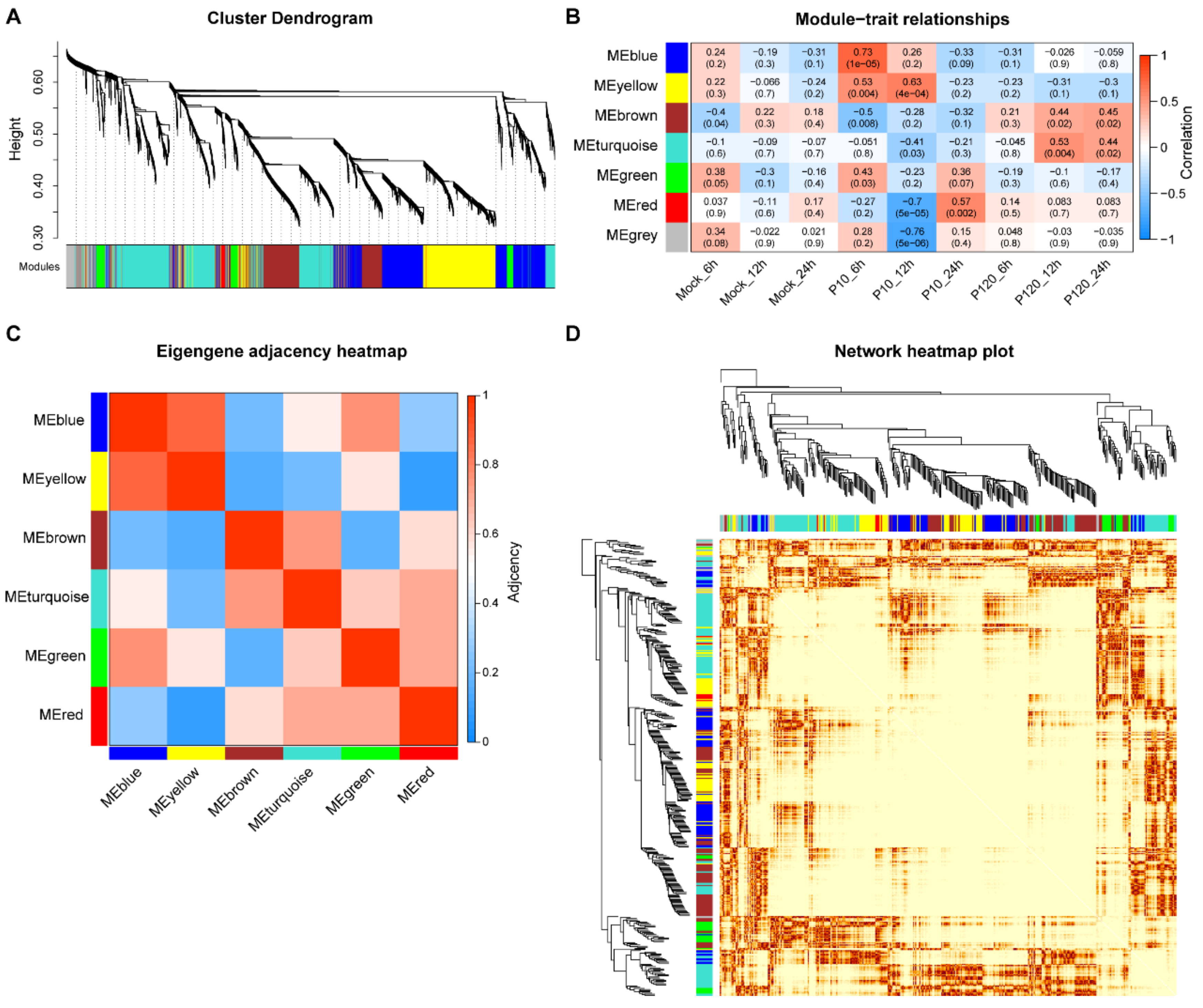Viruses 15 01426 g002