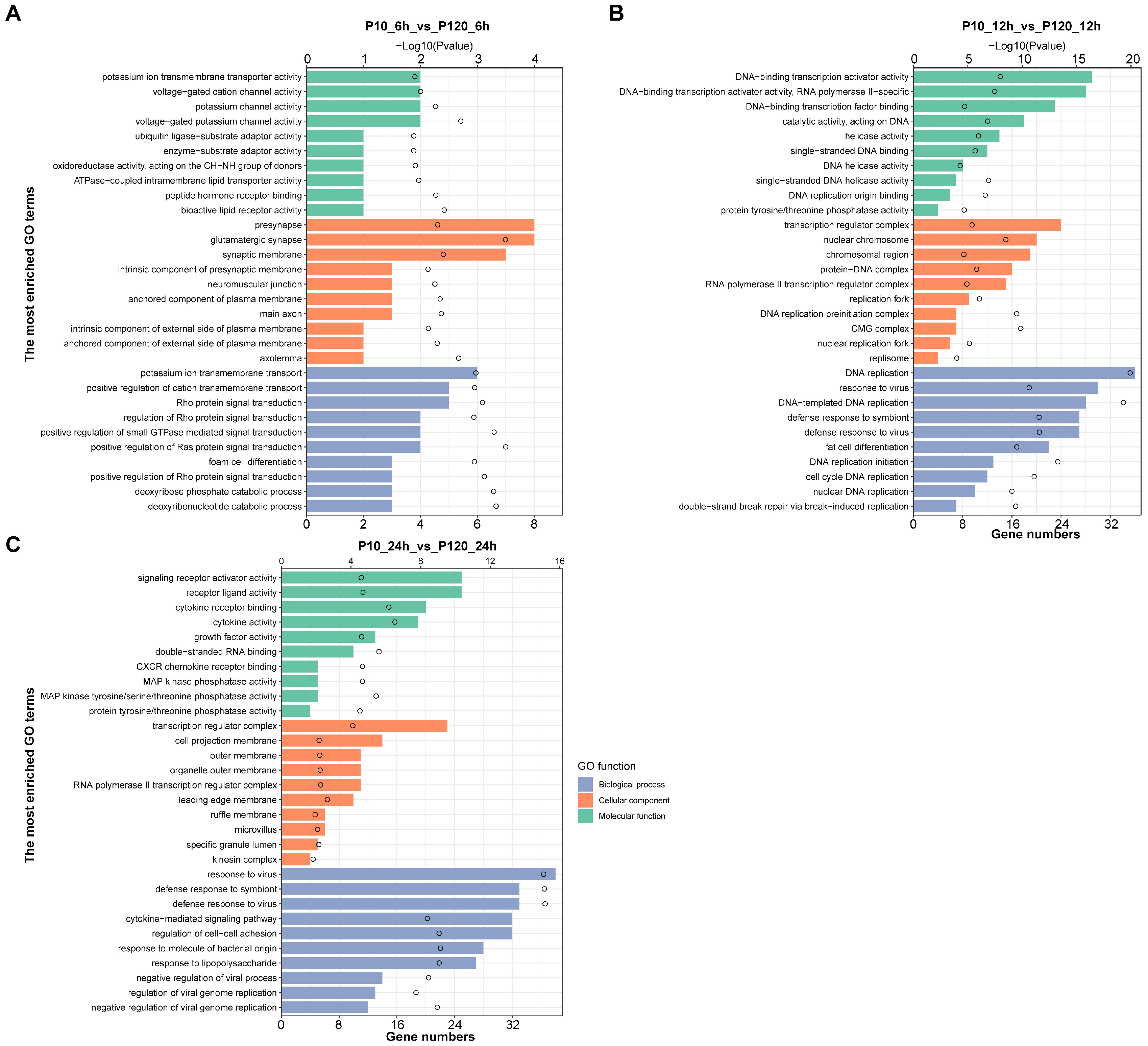 Viruses 15 01426 g005
