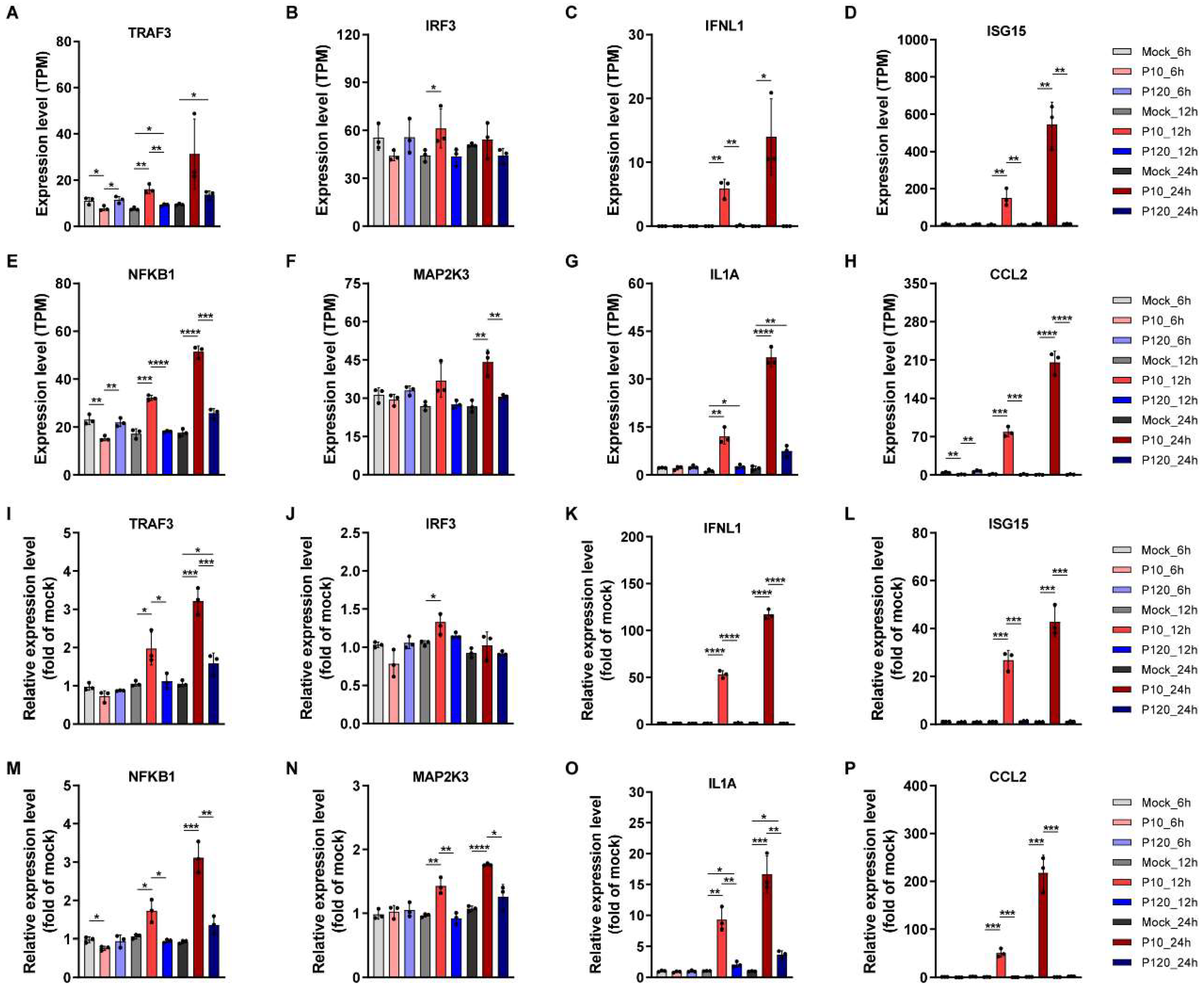 Viruses 15 01426 g008