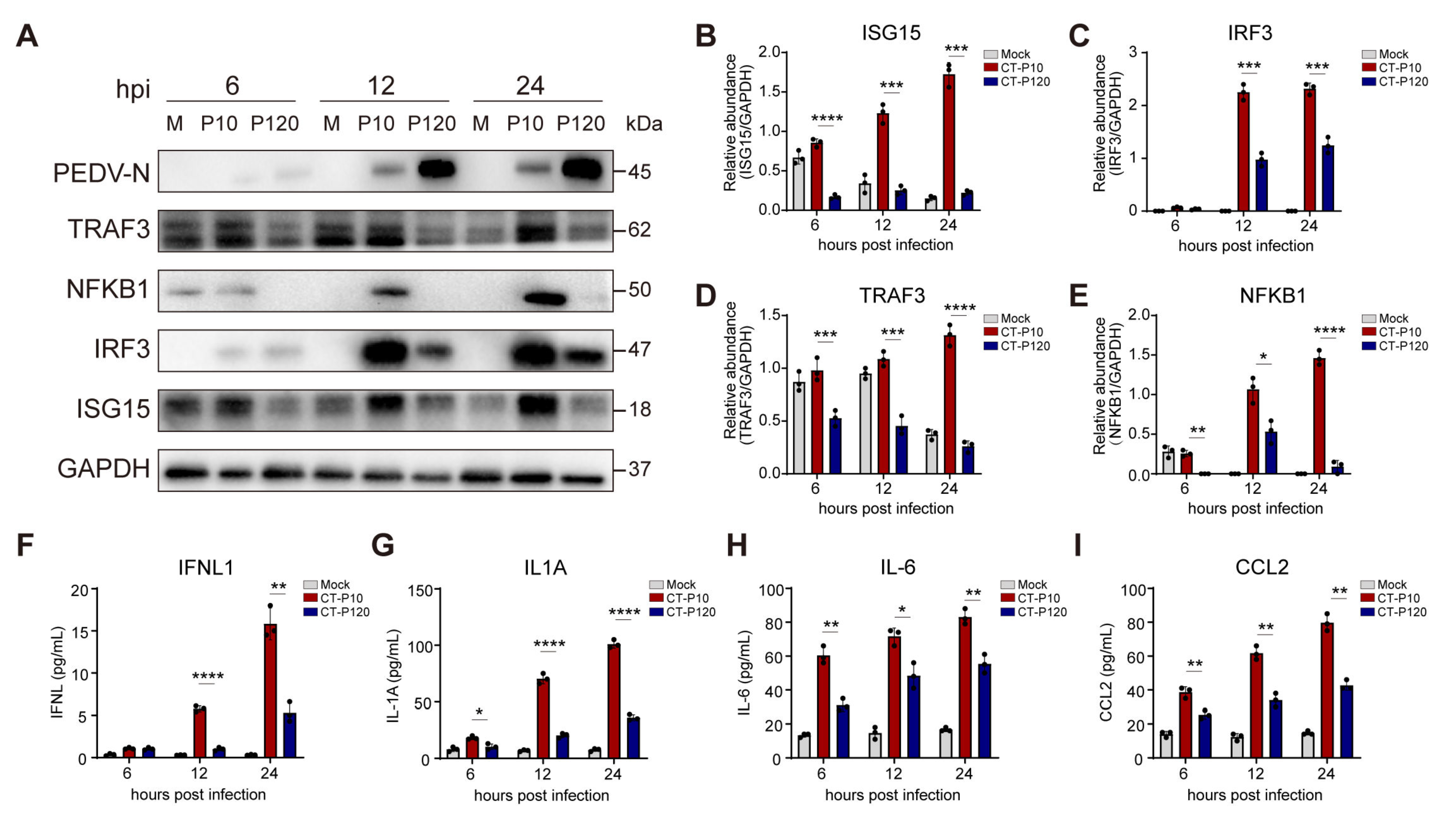 Viruses 15 01426 g009