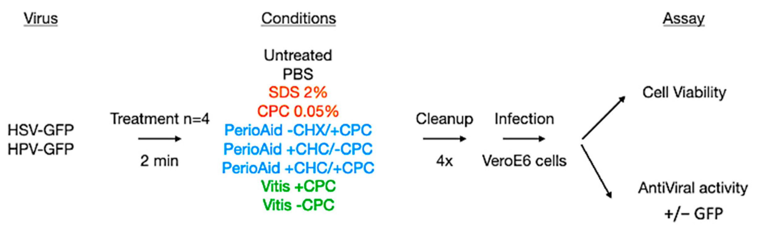 Viruses 15 01433 g001 Viruses 15 01433 g001