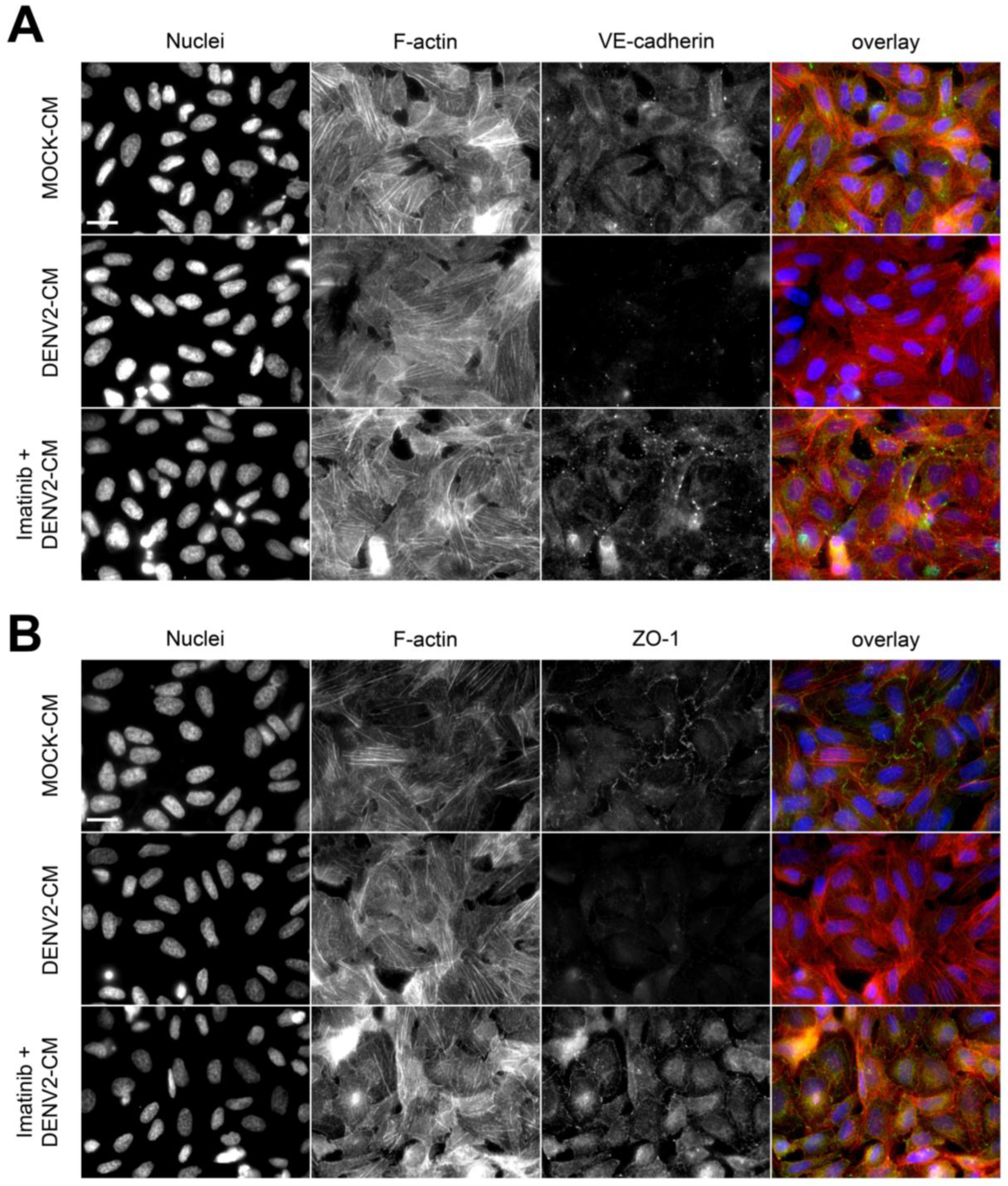 Viruses 15 01437 g005a