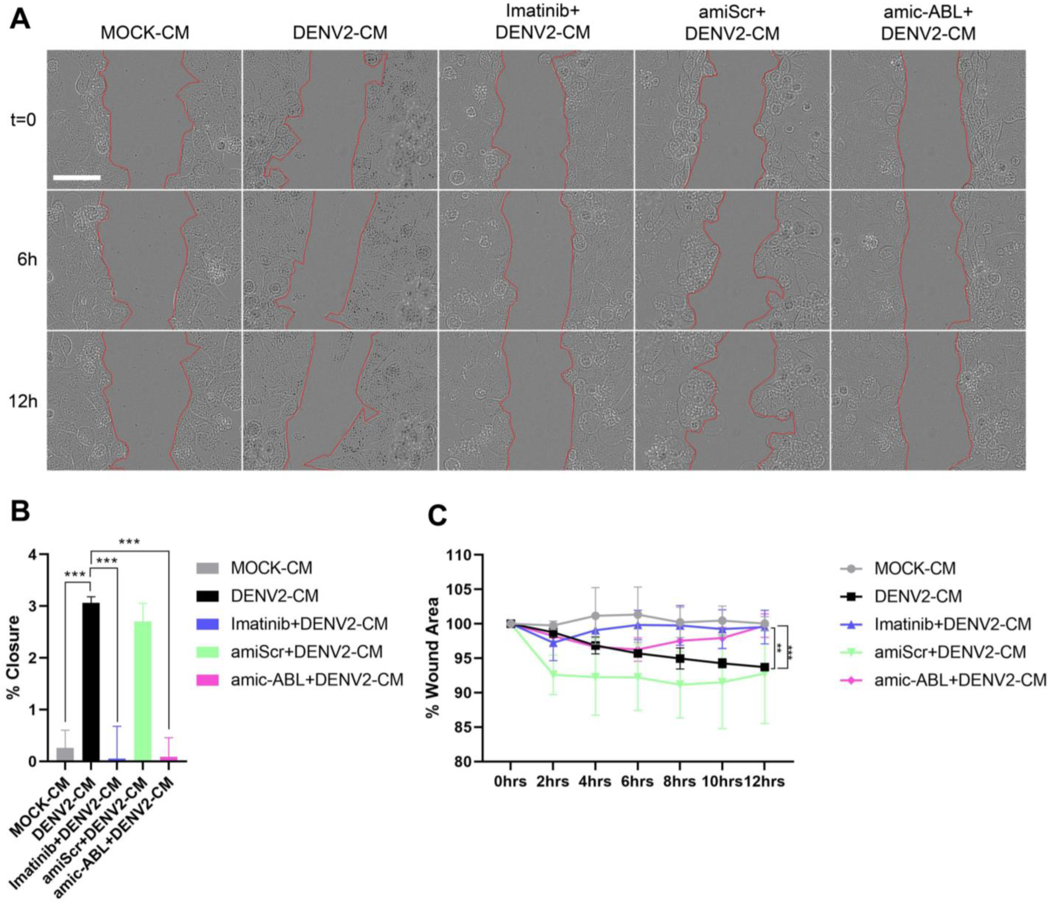 Viruses 15 01437 g007