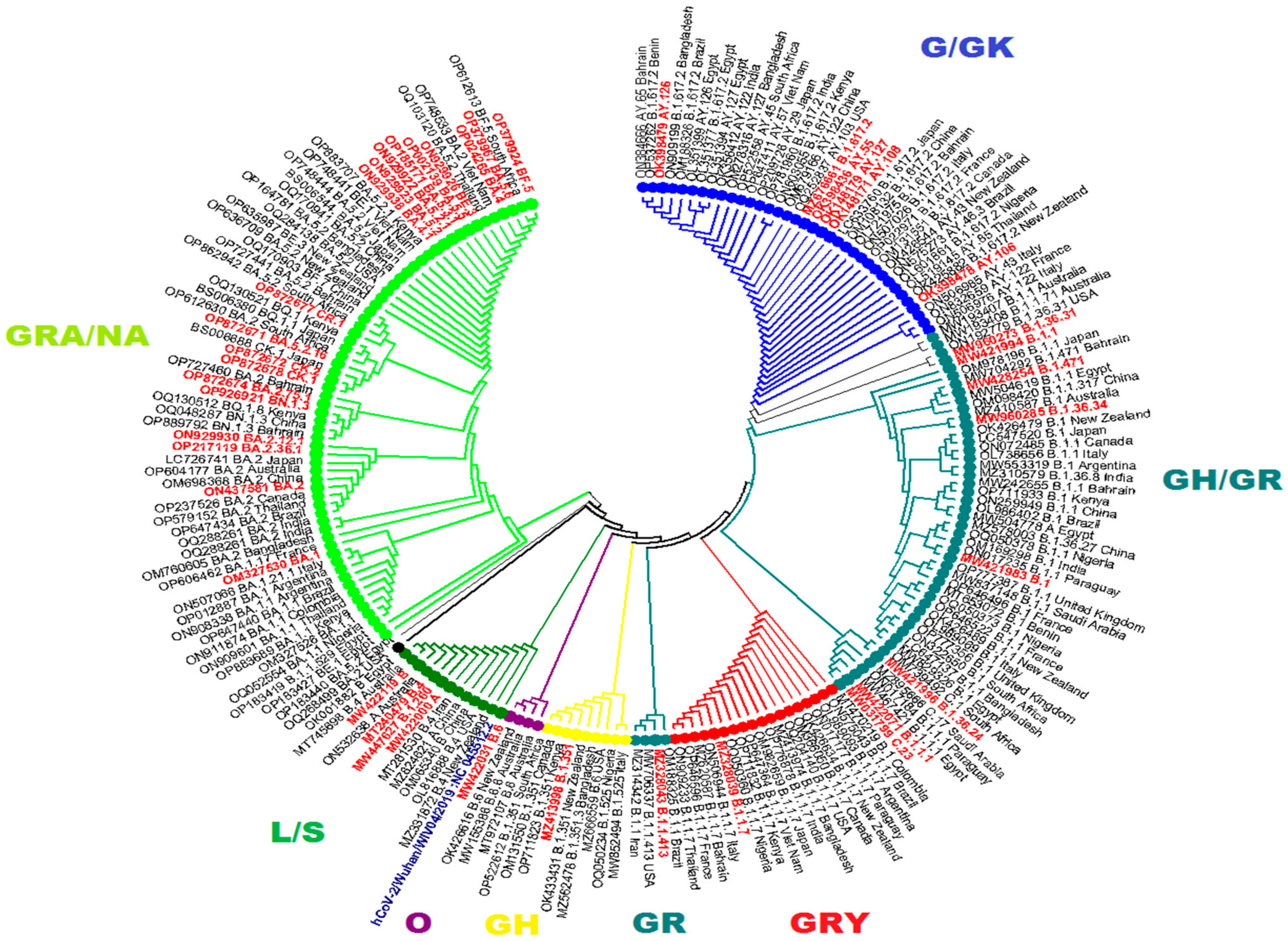 Viruses 15 01450 g004 Viruses 15 01450 g004