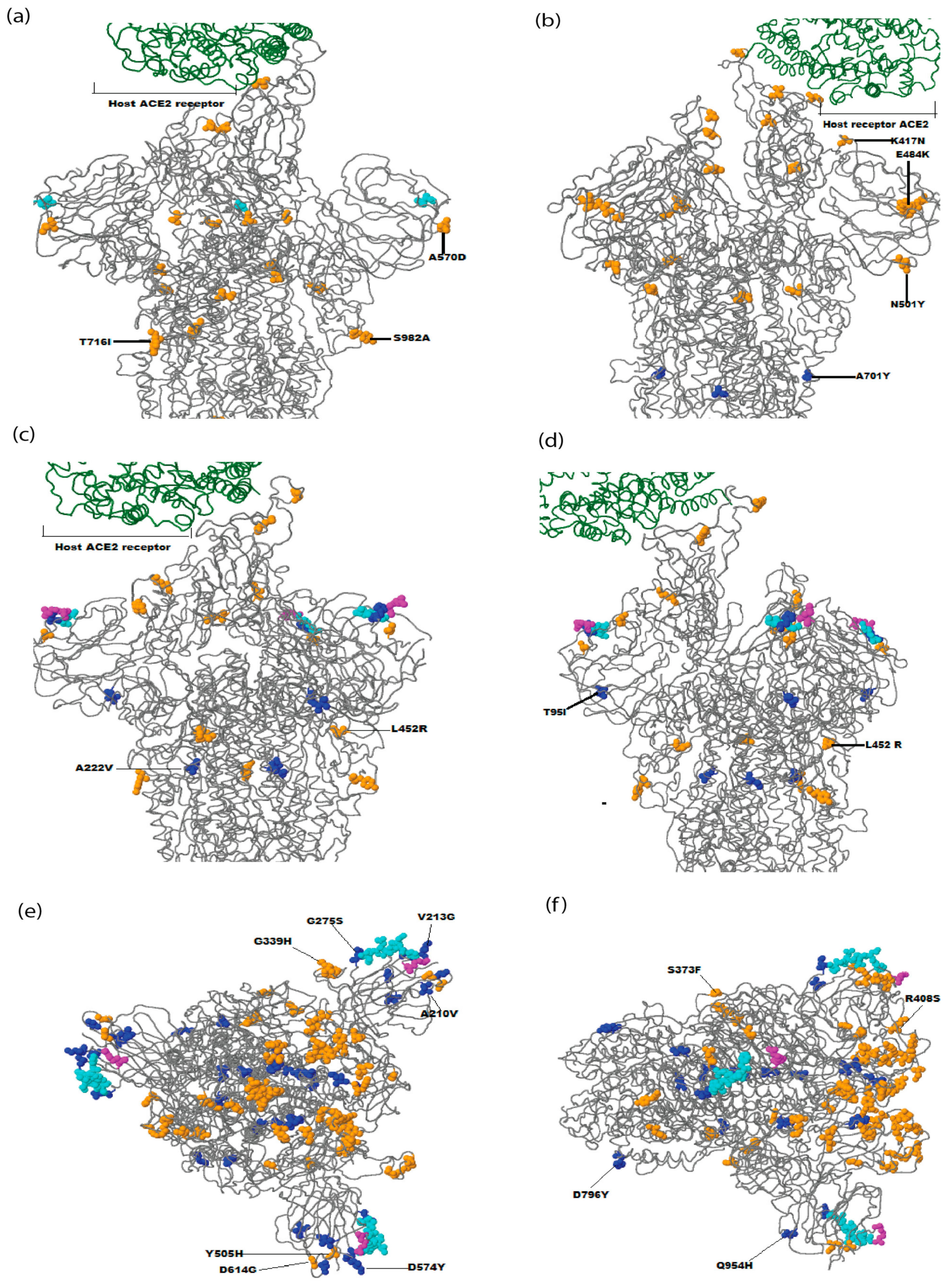 Viruses 15 01450 g006 Viruses 15 01450 g006