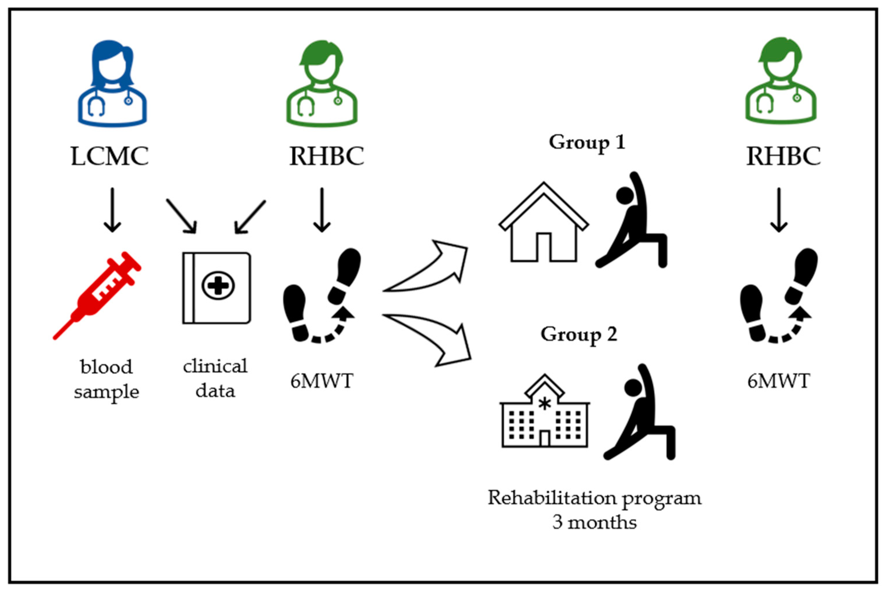 Viruses 15 01452 g001