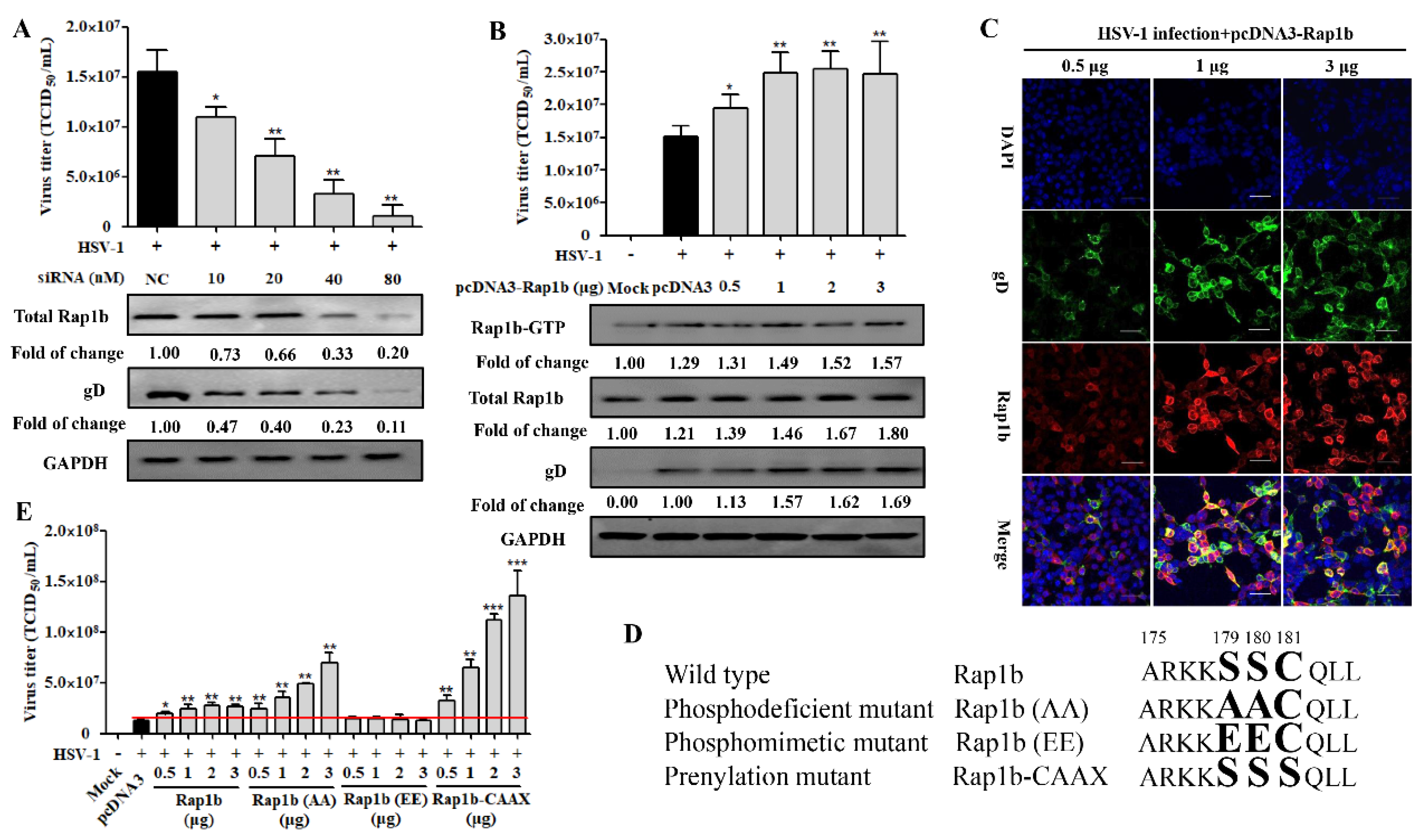 Viruses 15 01457 g002