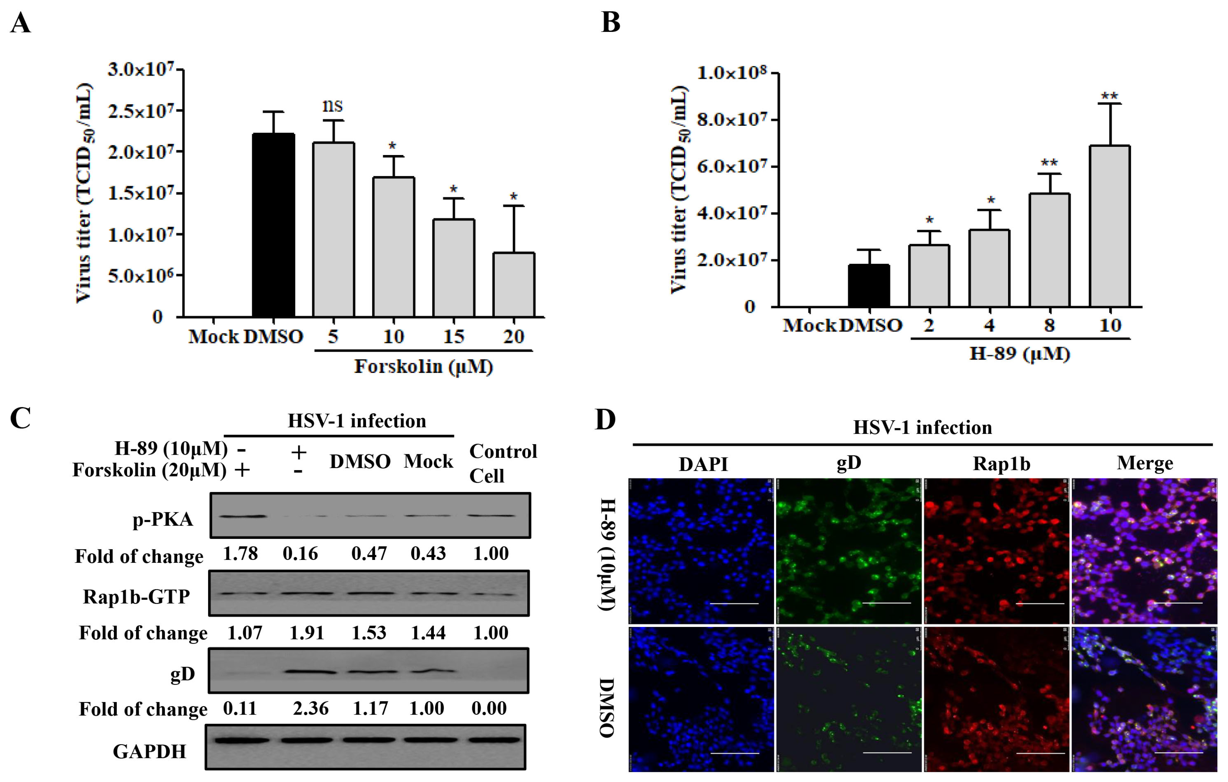 Viruses 15 01457 g003