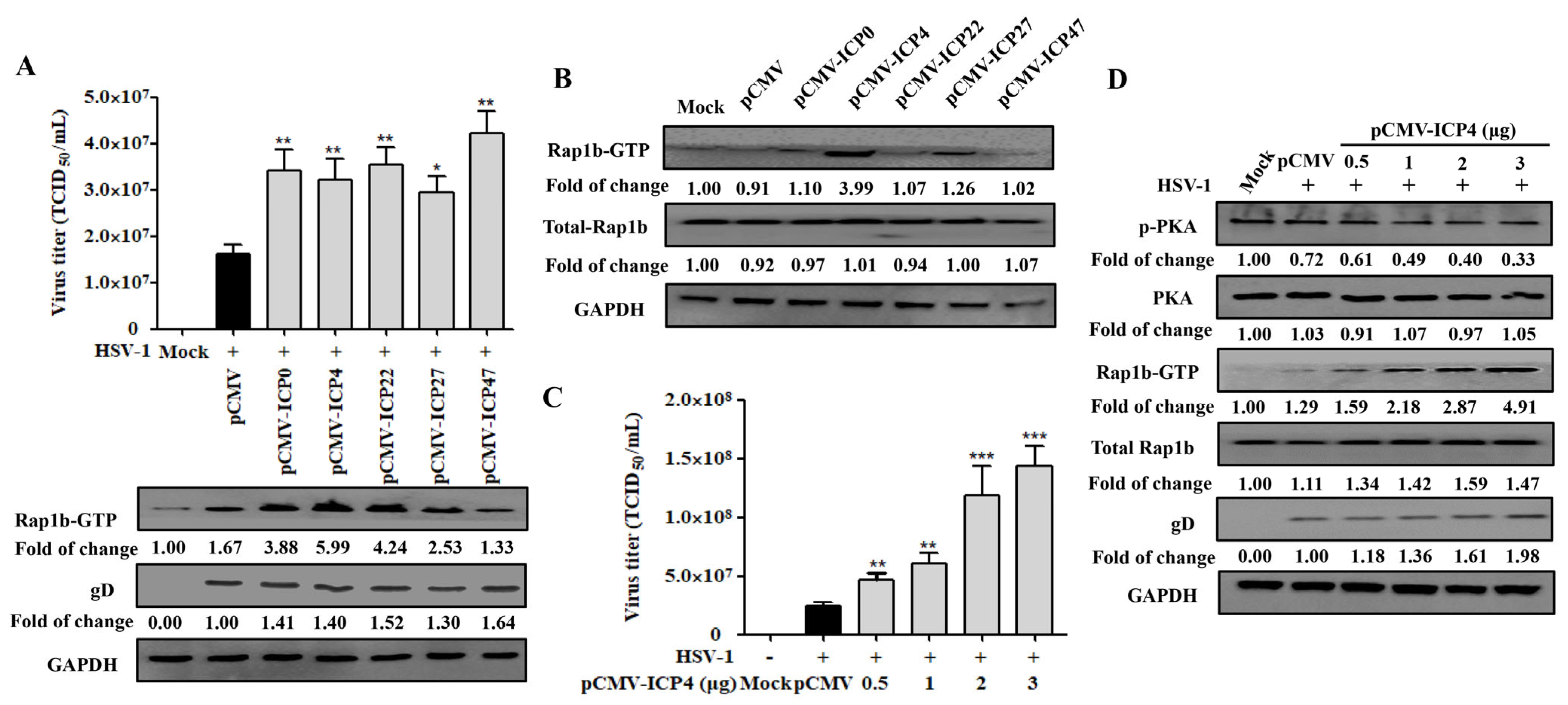 Viruses 15 01457 g004