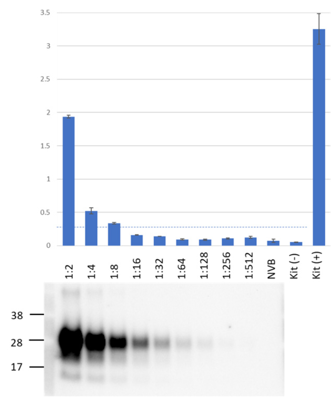 Viruses 15 01466 g001