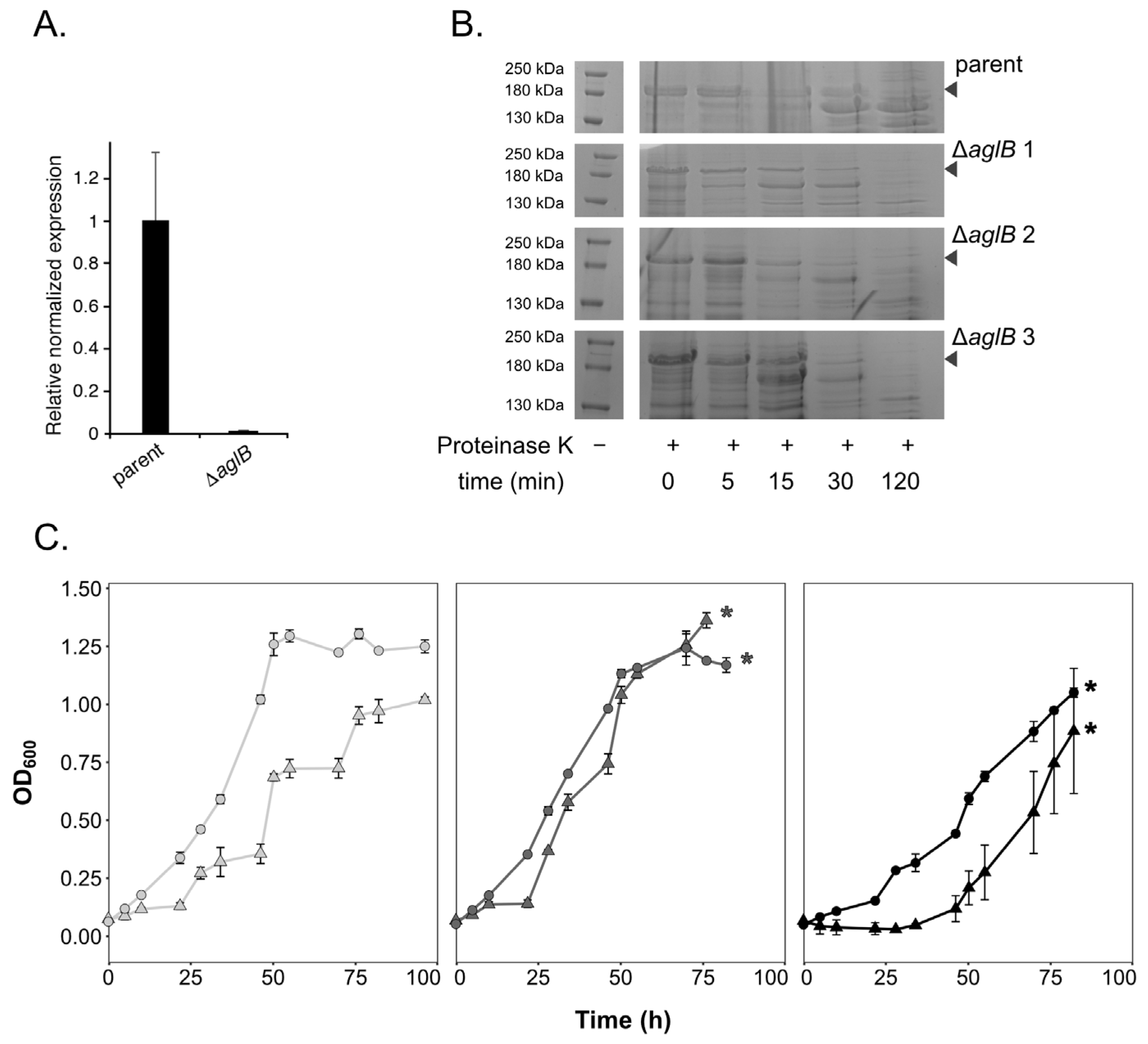 Viruses 15 01469 g001