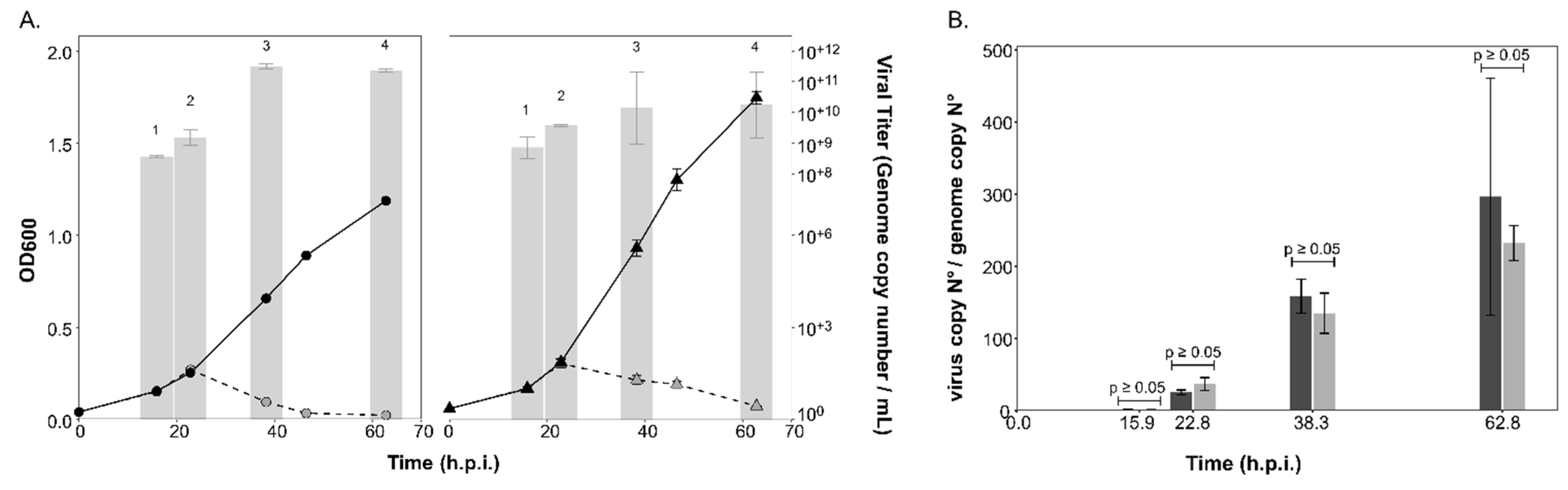 Viruses 15 01469 g003